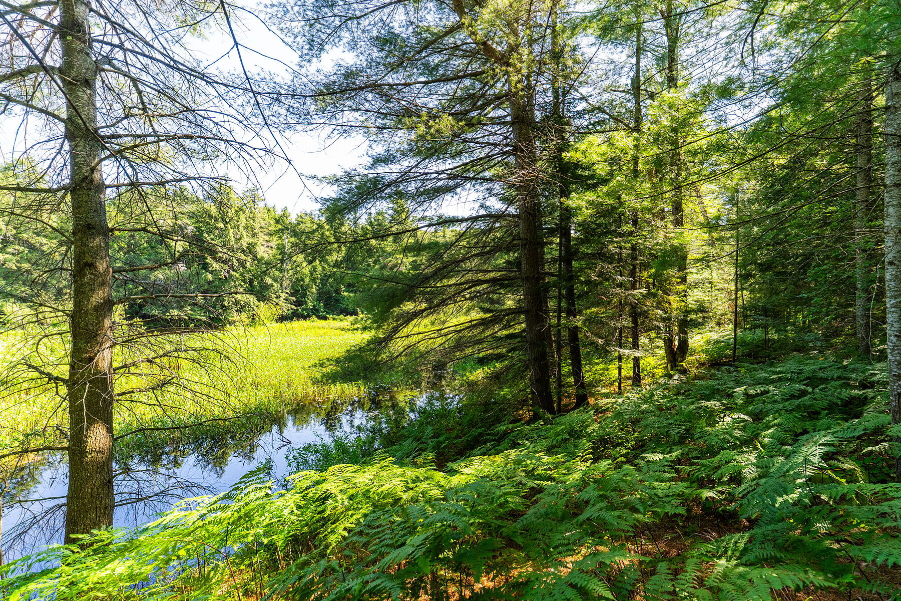  Buck River Huntsville - 物件實景