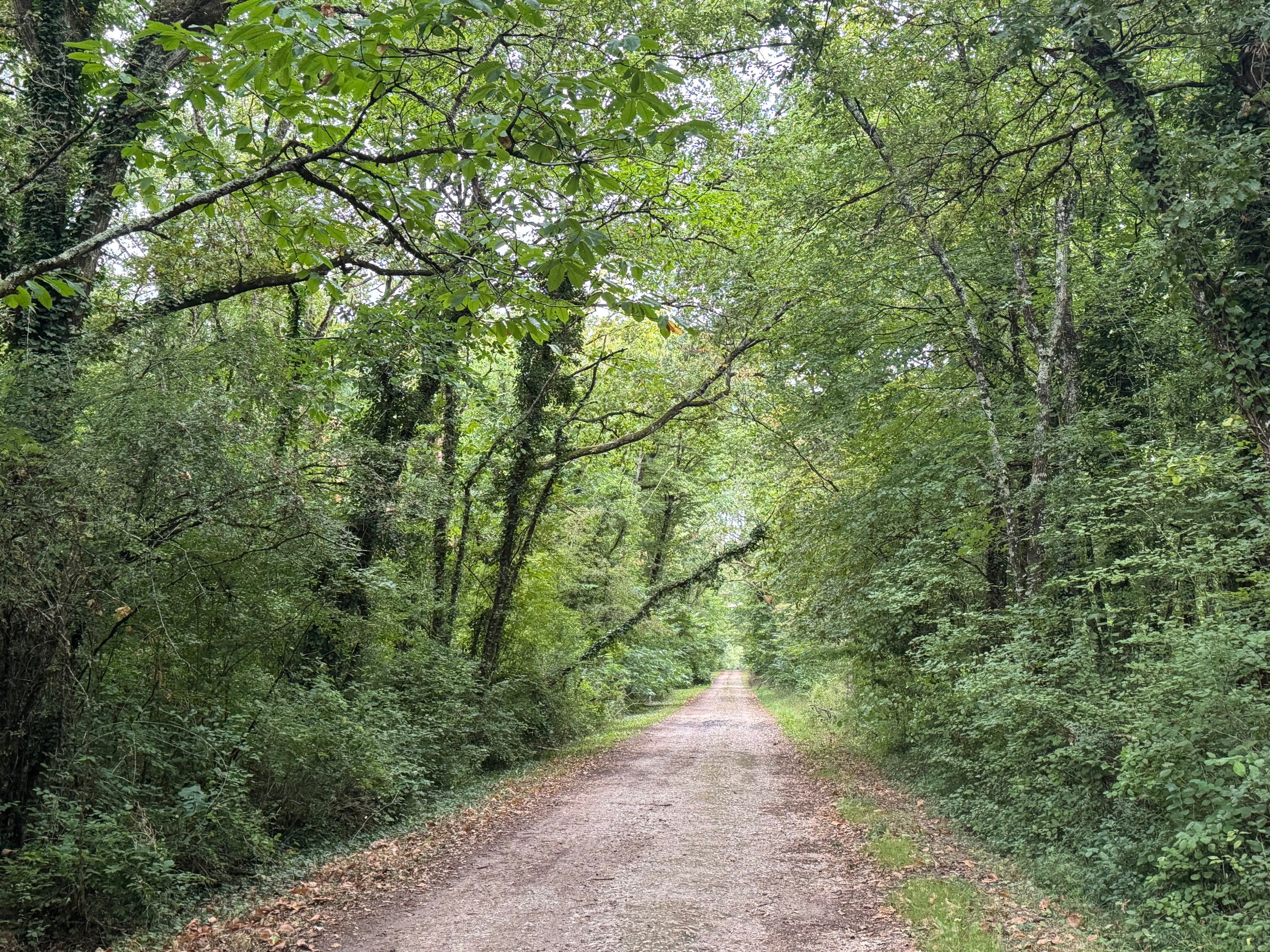 Loire Valley - Near Amboise / Tours - Exceptional Forest Estate – 180 hectares - 物件實景