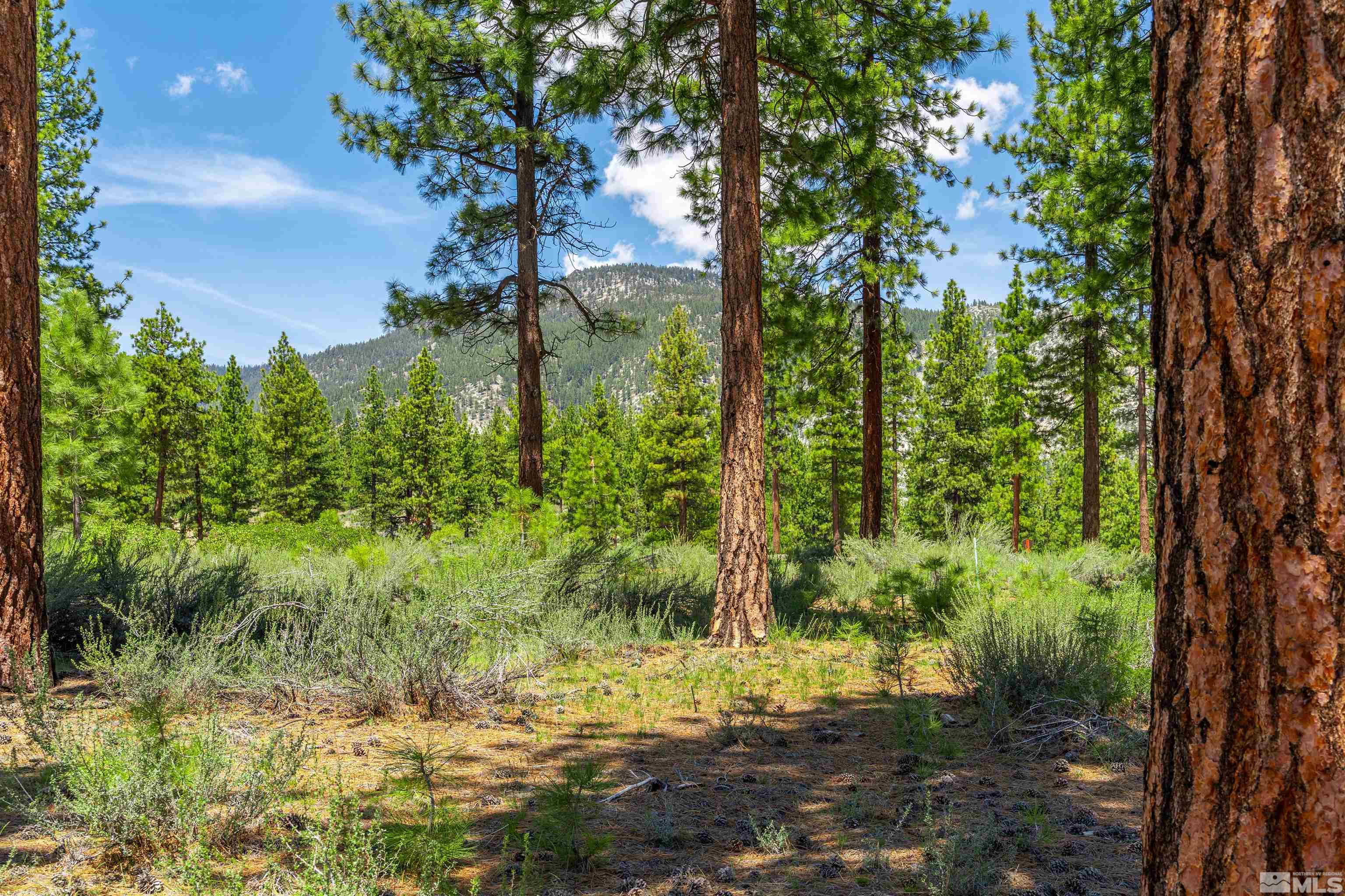 Carson City, Nevada, 89705, United States, ,Land,For Sale,1826407