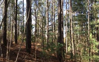 Oak Hill Road, Ellijay, Georgia, 30540, United States, ,Residential,For Sale,Oak Hill Road,1008692