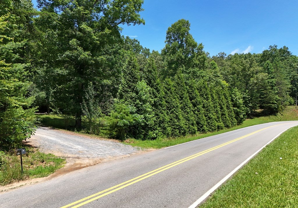 Mineral Bluff, Georgia, 30559, United States, 3 Bedrooms Bedrooms, ,3 BathroomsBathrooms,Residential,For Sale,1882955