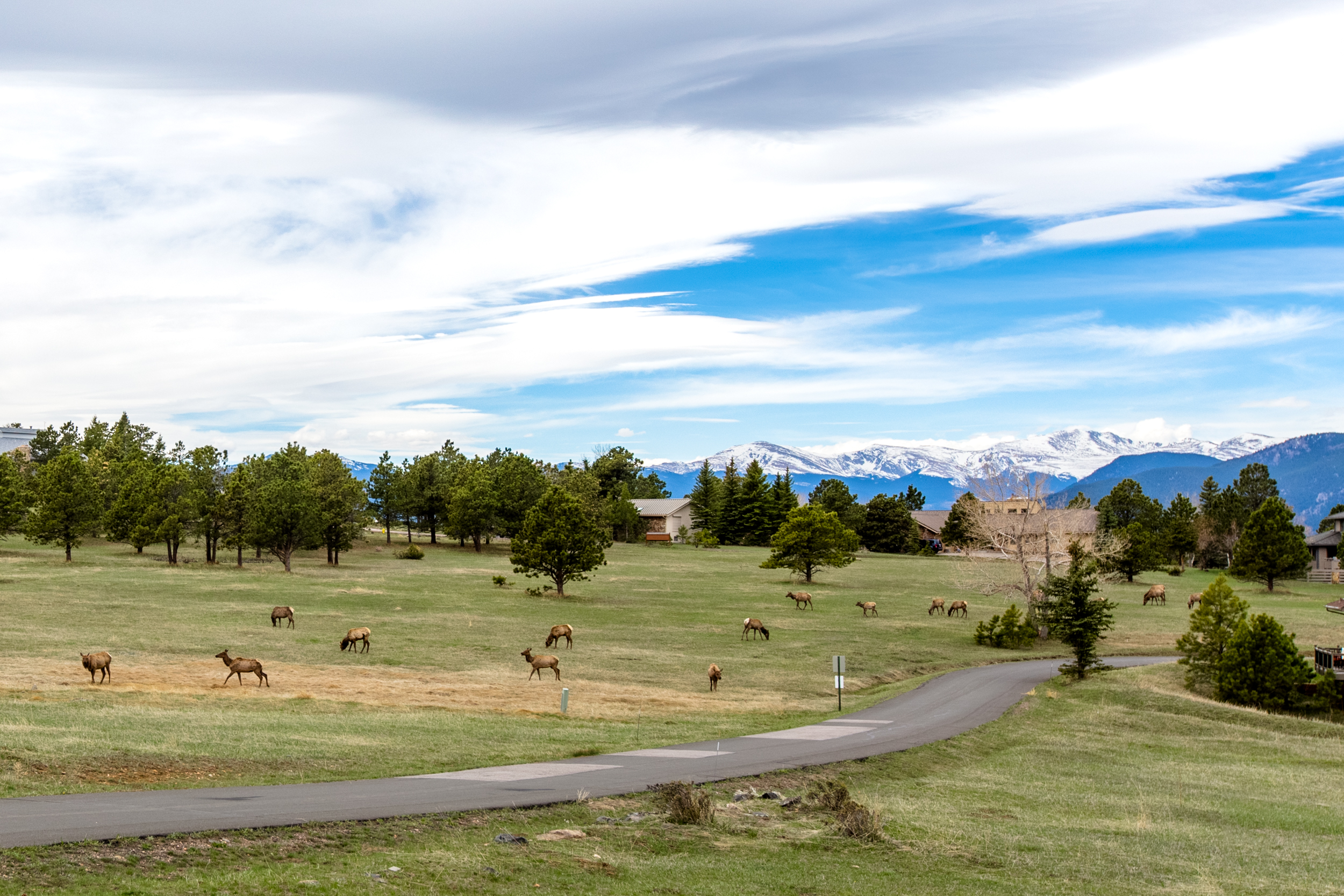  Far Reaching Views from City Lights to Pikes Peak - 物件實景