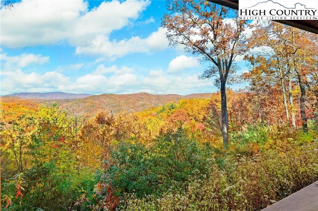 Ferguson, North Carolina, 28624, United States, 3 Bedrooms Bedrooms, ,2 BathroomsBathrooms,Residential,For Sale,1989940