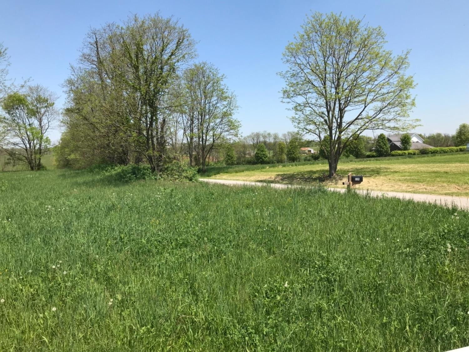 Georgetown, Kentucky, 40324, United States, ,Residential,For Sale,1721304