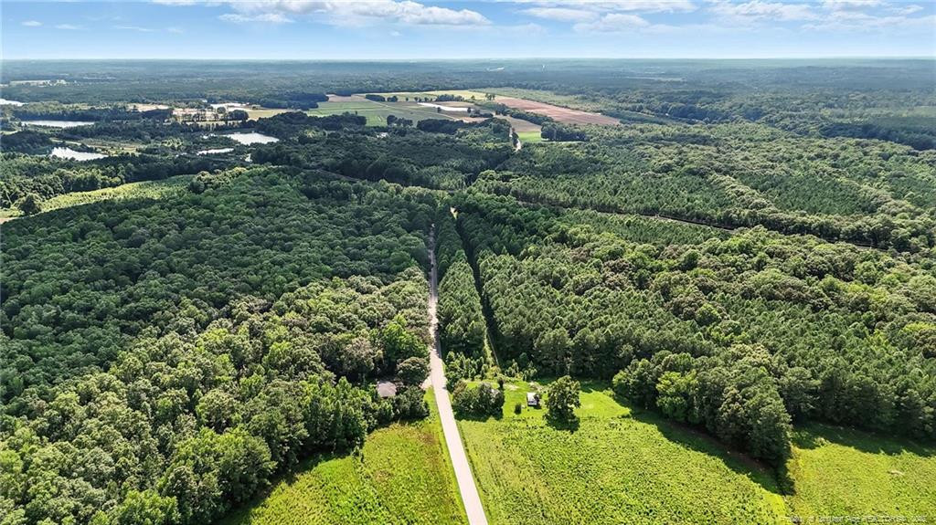 Wade, North Carolina, 28395, United States, ,Land,For Sale,1891652