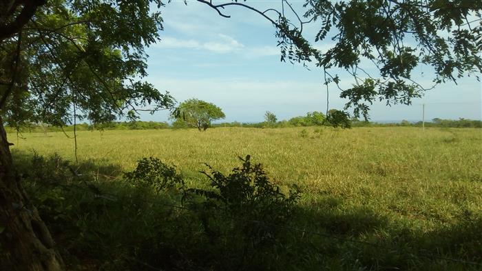 Sosua, DO, ,Land,For Sale,1622583