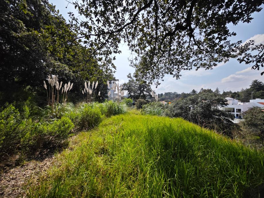 Capulines, Atizapán de Zaragoza, Estado de México, 52938, Mexico, 1 Bedroom Bedrooms, ,Residential,For Sale,Capulines,1443866