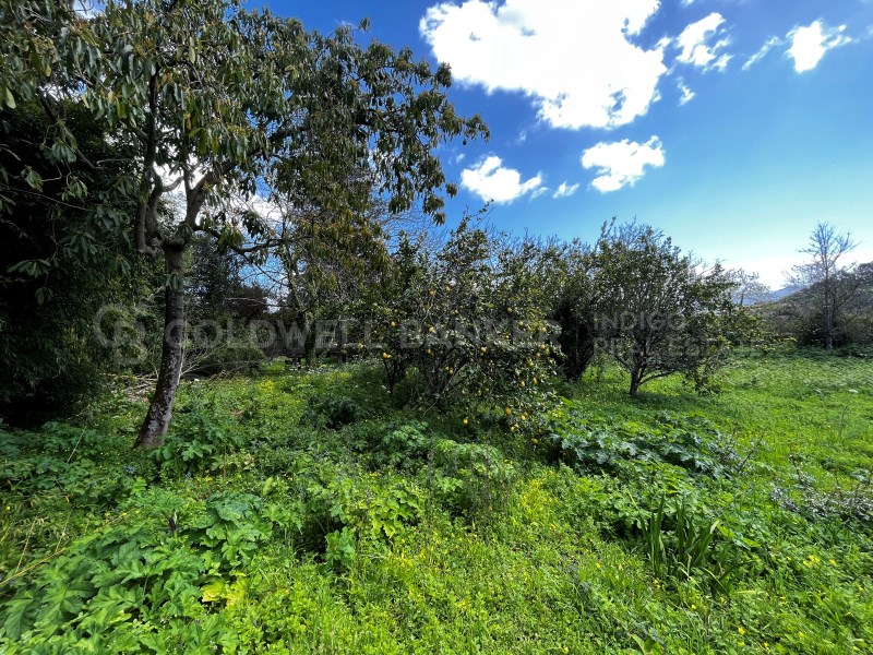 Pontevedra, Moa?a, Moa?a (San Marti?o P. E Virxe d, Moaña, Galicia, ES, 7 Bedrooms Bedrooms, ,2 BathroomsBathrooms,Residential,For Sale,Pontevedra, Moa?a, Moa?a (San Marti?o P. E Virxe d,1623275