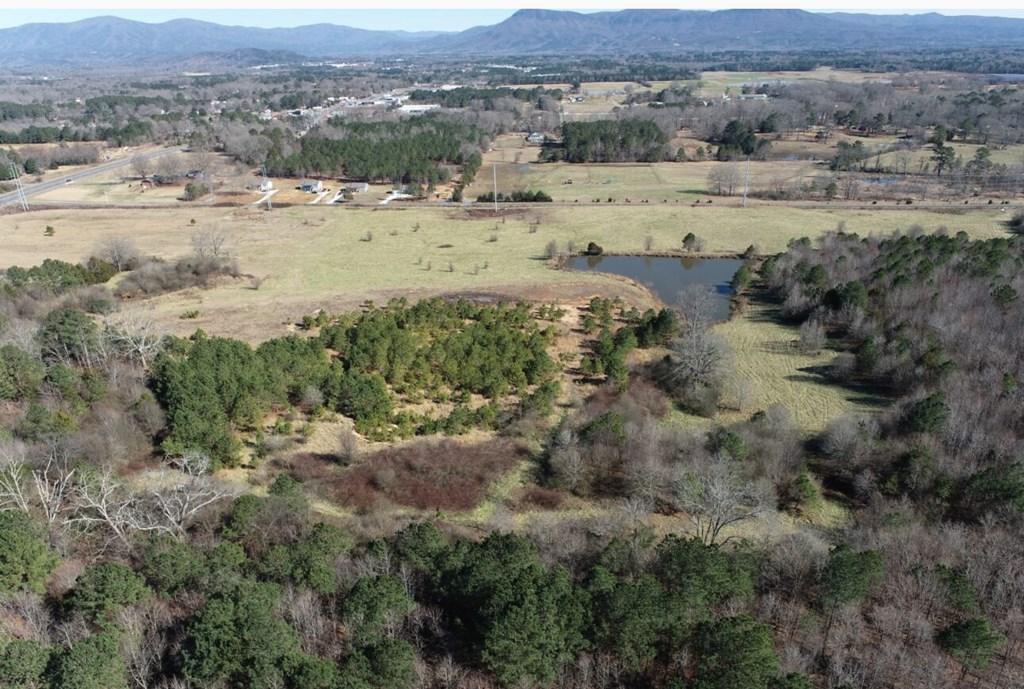 CHATSWORTH, Georgia, 30705, United States, ,Residential,For Sale,1986542