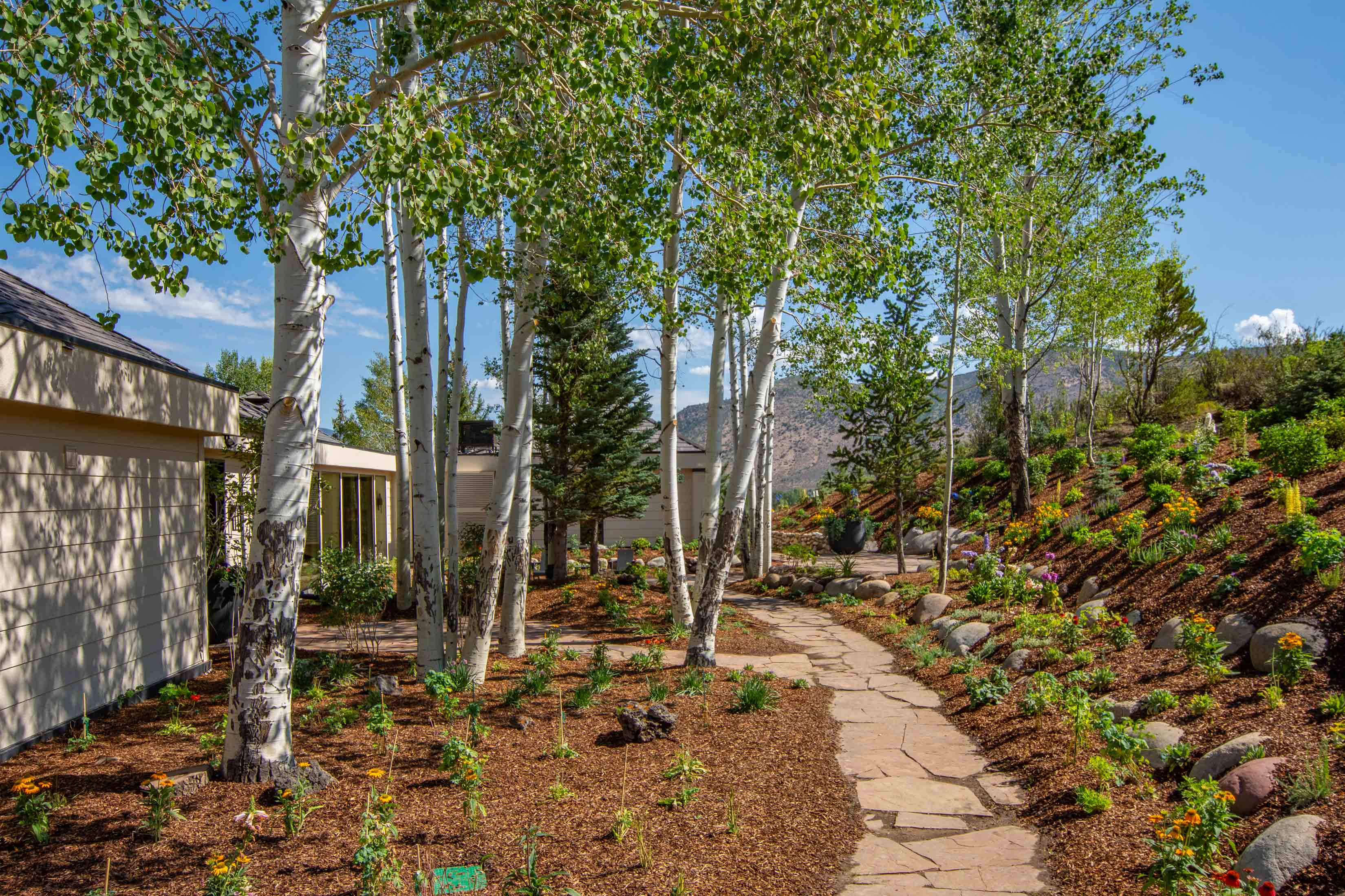  A Beautifully Reimagined Lazy O Ranch Estate with Unparalleled Mt. Sopris Views - 物件實景