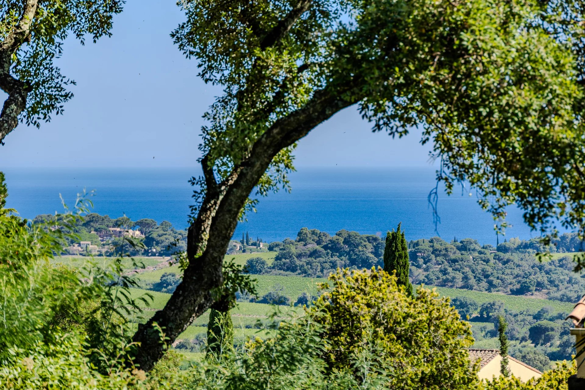 La Croix-Valmer, Provence-Alpes-Côte d’Azur, 83420, FR, ,Residential,For Sale,1867201