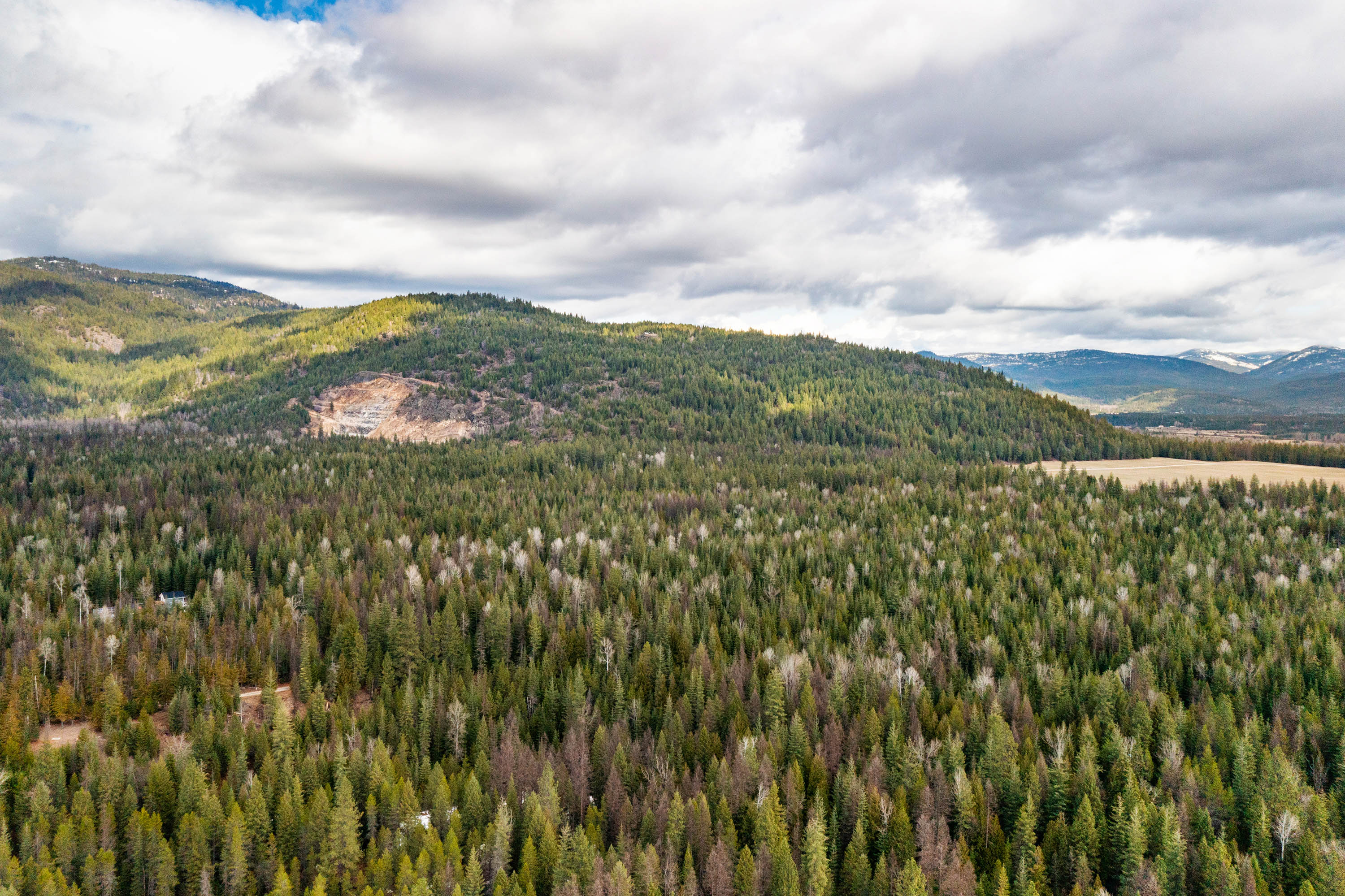 Sandpoint, Idaho, 83864, United States, ,Land,For Sale,2016068