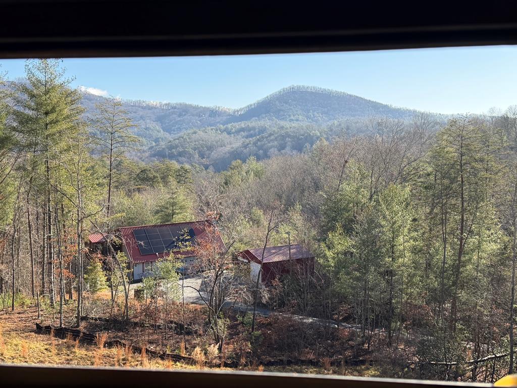 Mineral Bluff, Georgia, 30559, United States, 3 Bedrooms Bedrooms, ,3 BathroomsBathrooms,Residential,For Sale,2006595