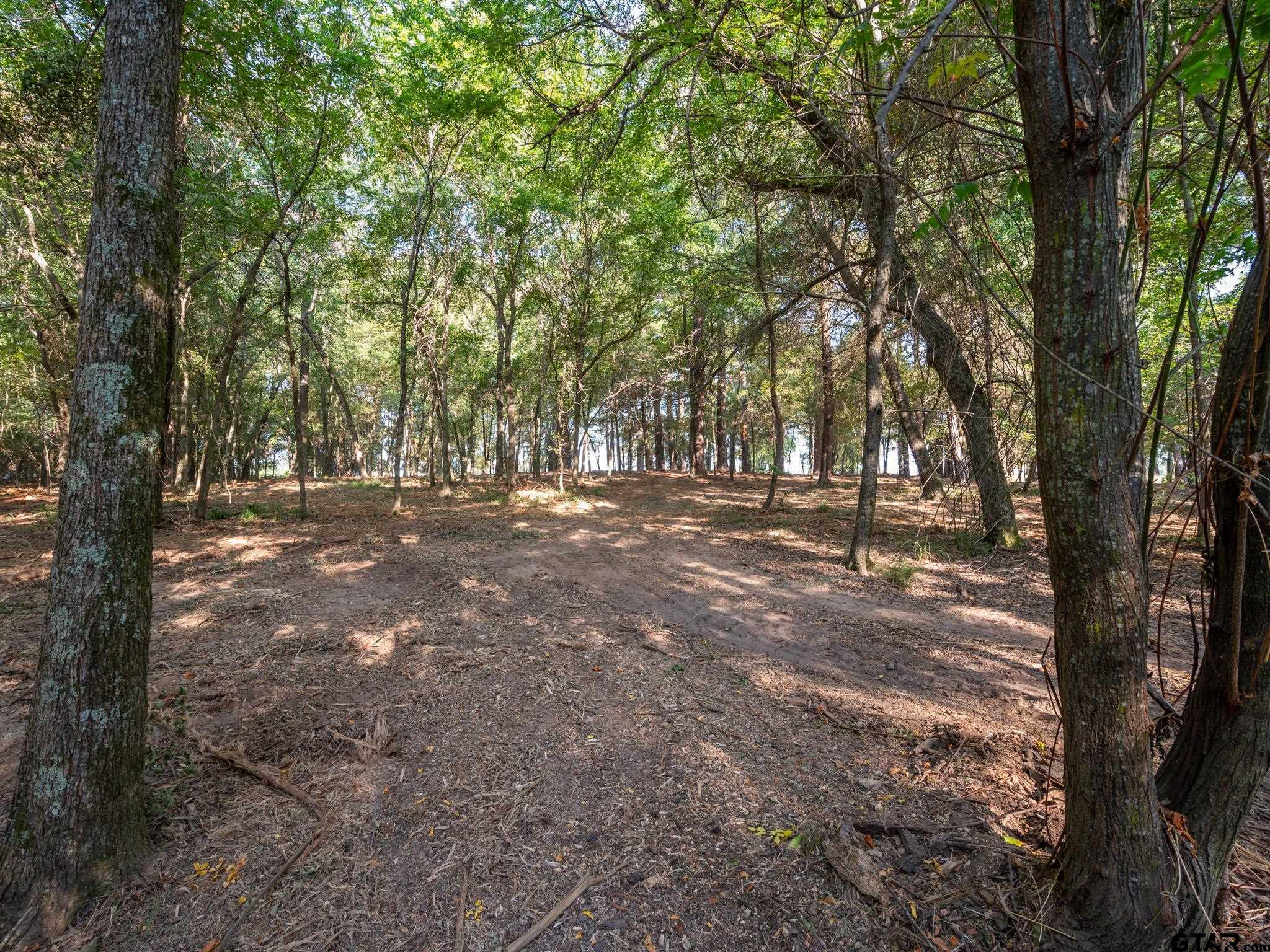 Chandler, Texas, 75758, United States, ,Land,For Sale,1826674