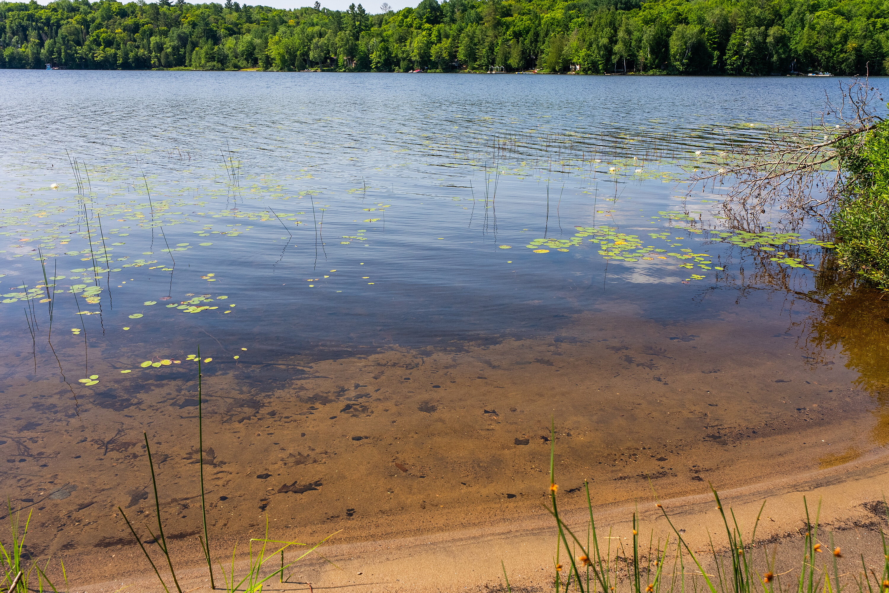  Echo Beach - 物件實景