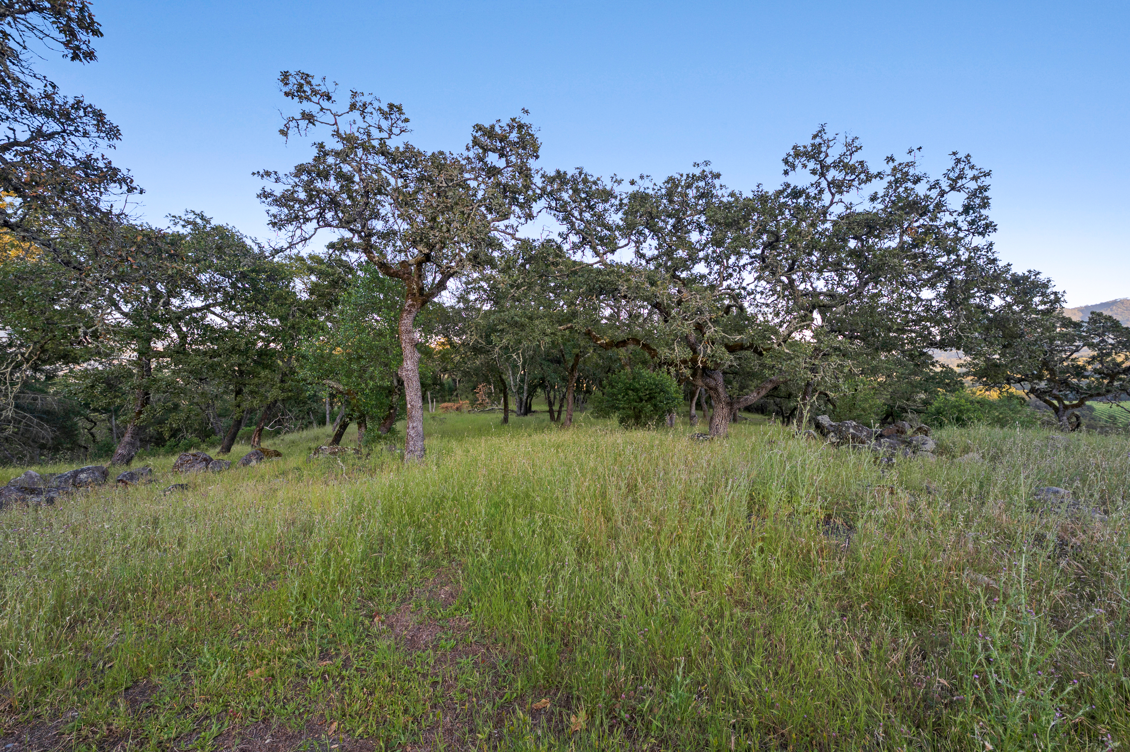  4296 Savannah Trail - 物件實景