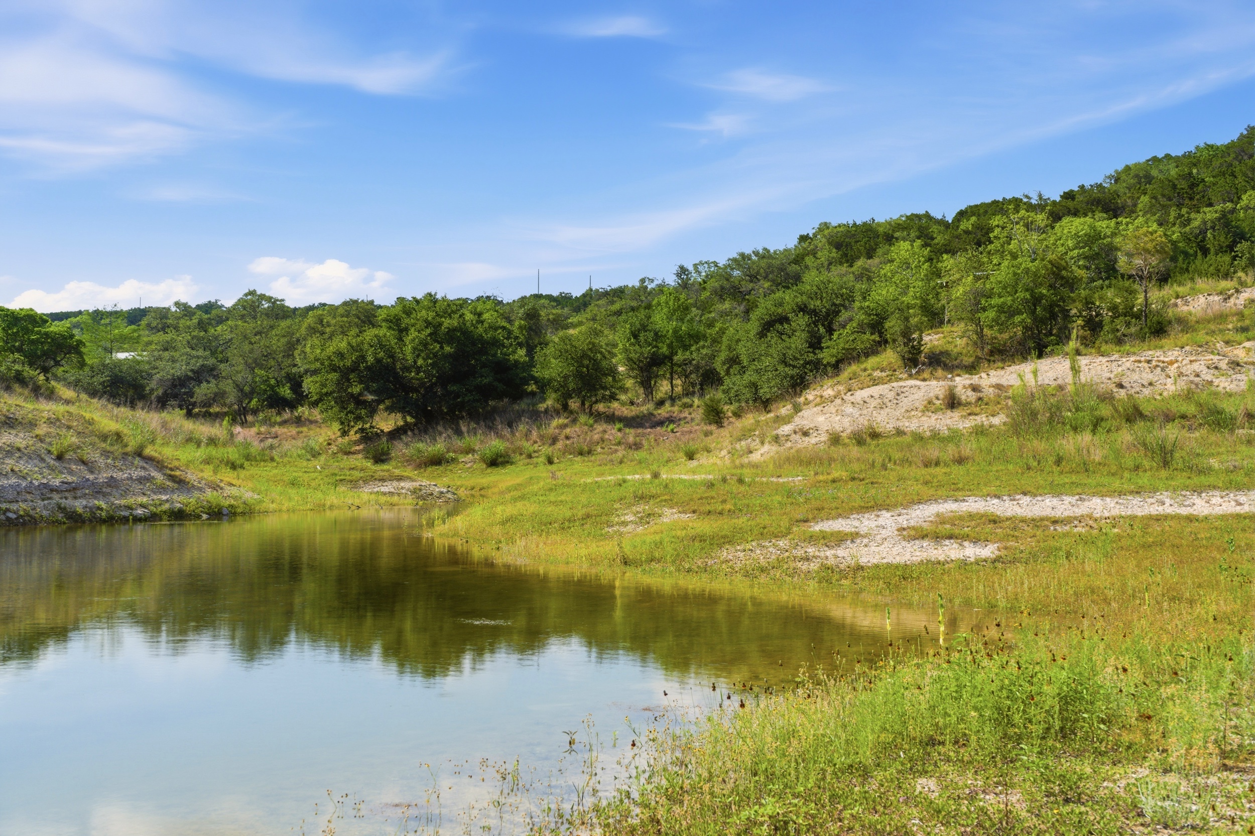  72+/- Acre Palmetto Creek Ranch - 物件實景