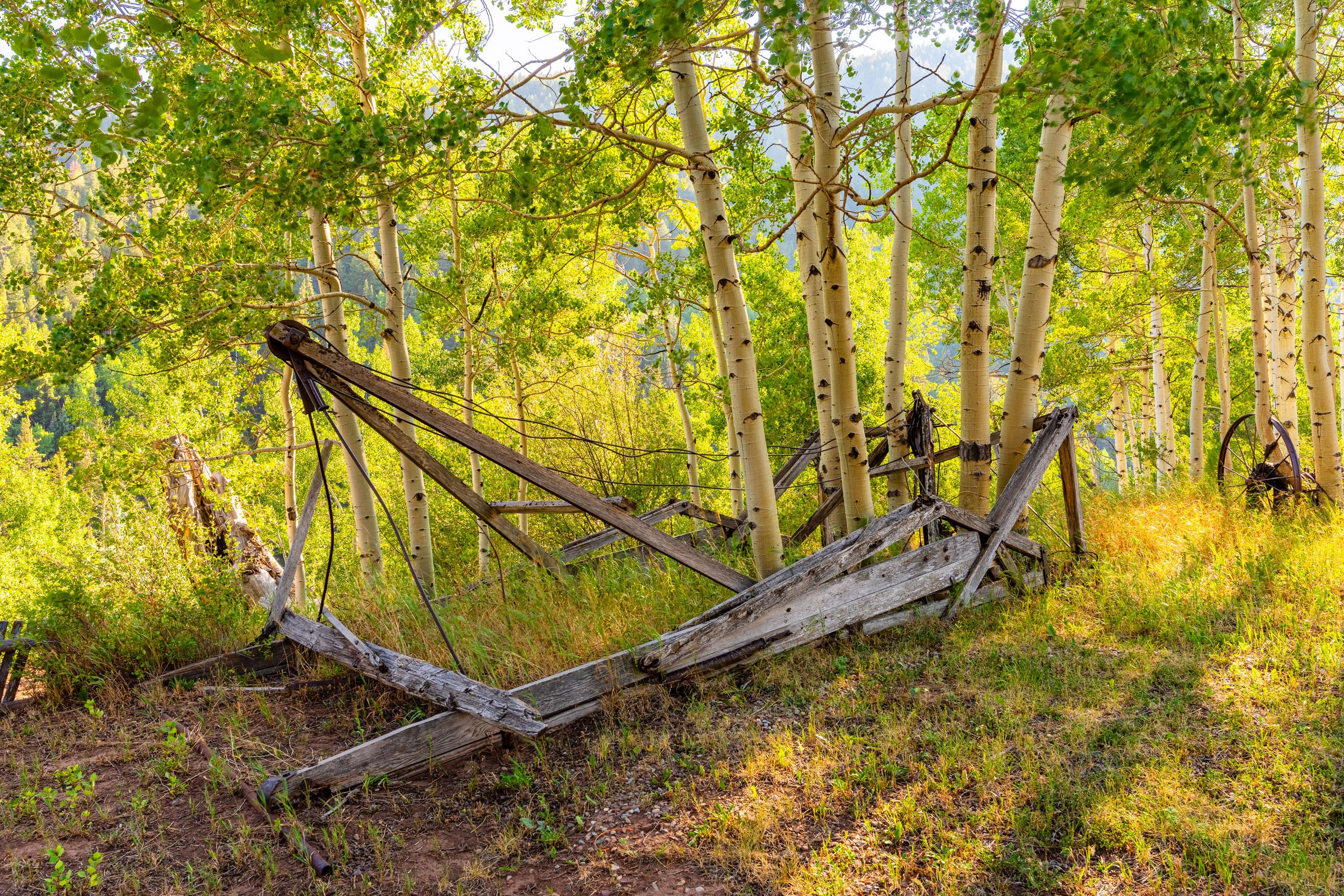  294 Ruedi Creek Road, Basalt, CO 81621 - 物件實景