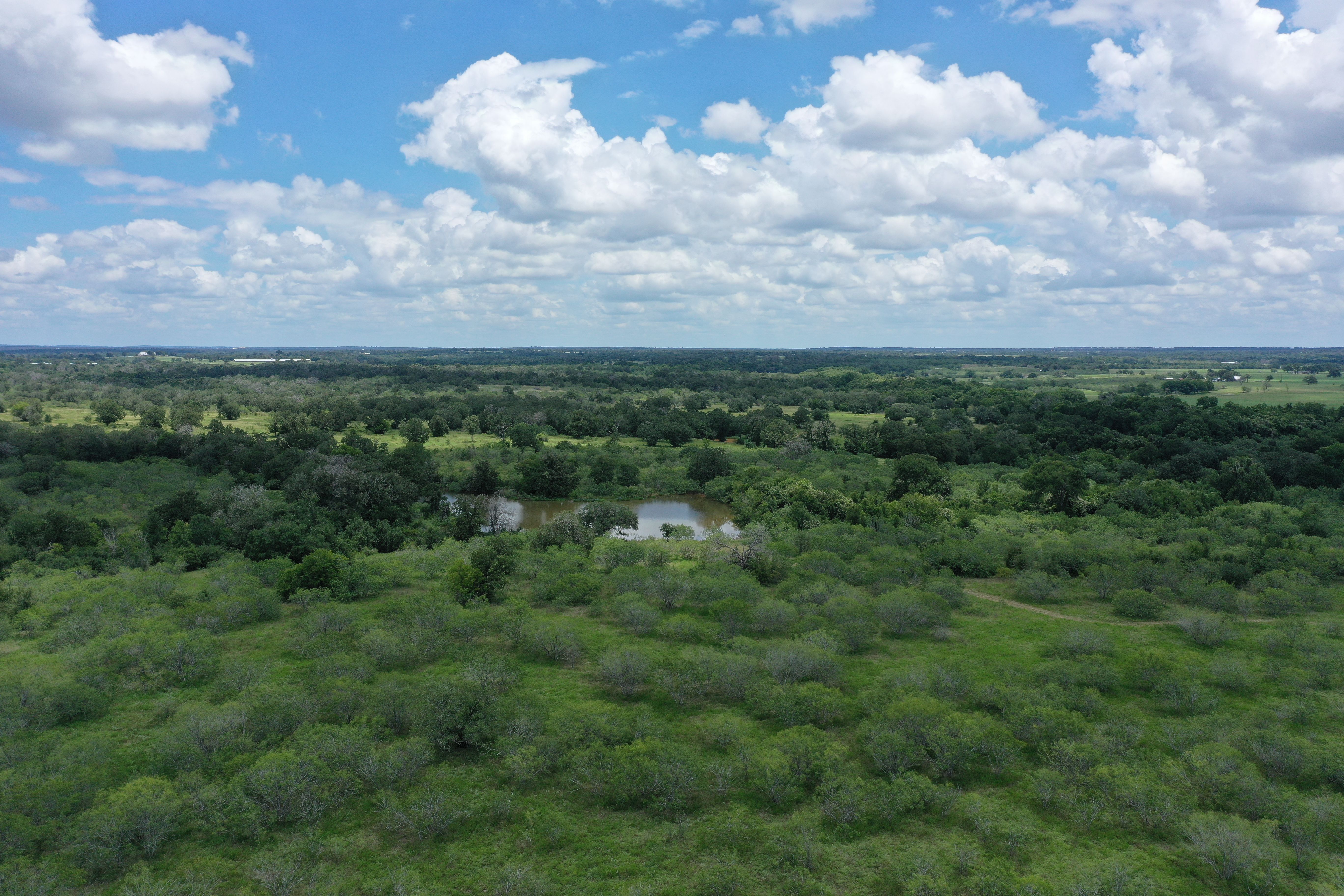  Buck Branch Ranch - 物件實景