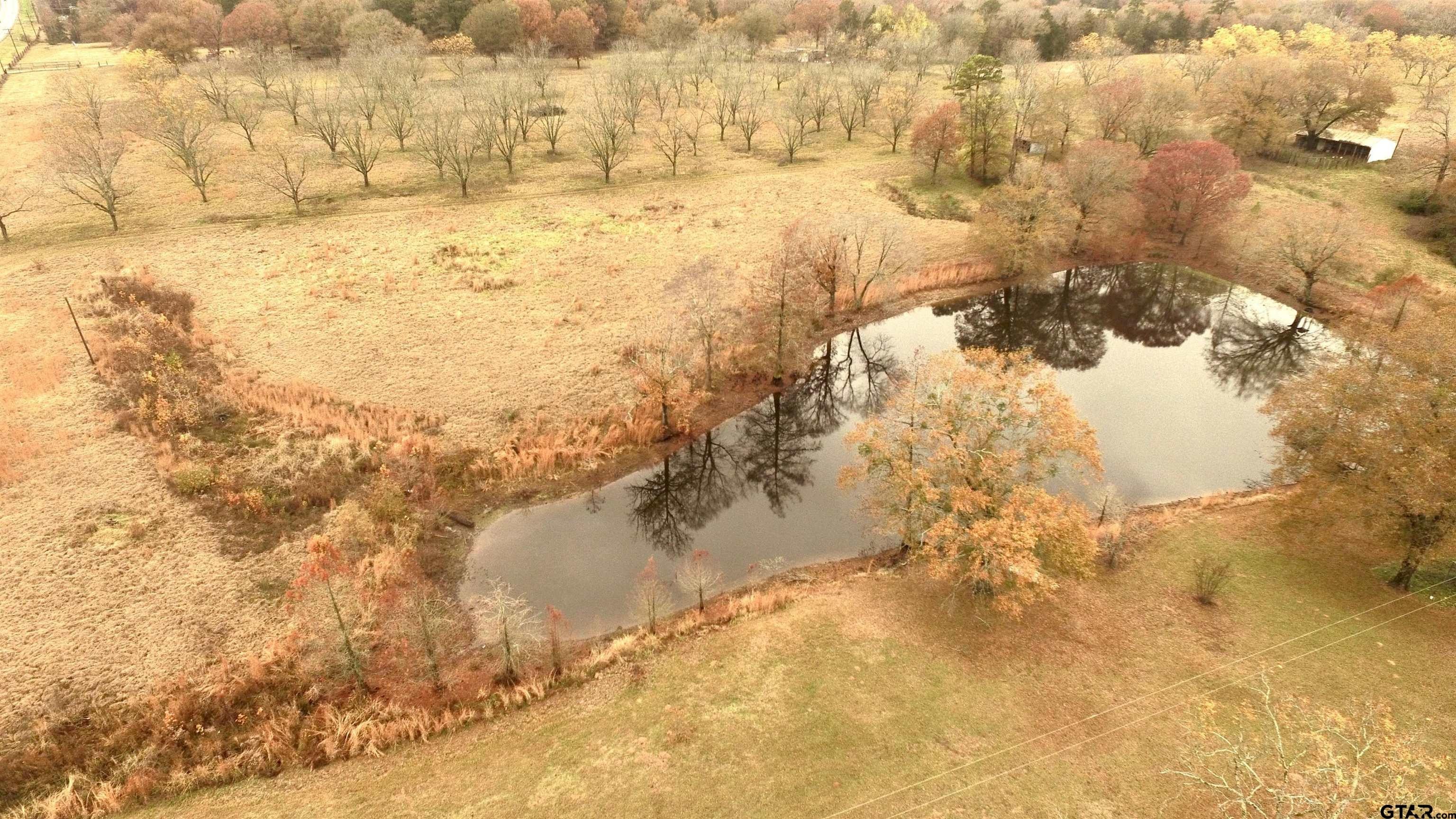 Leesburg, Texas, 75451, United States, 3 Bedrooms Bedrooms, ,2 BathroomsBathrooms,Residential,For Sale,1977954