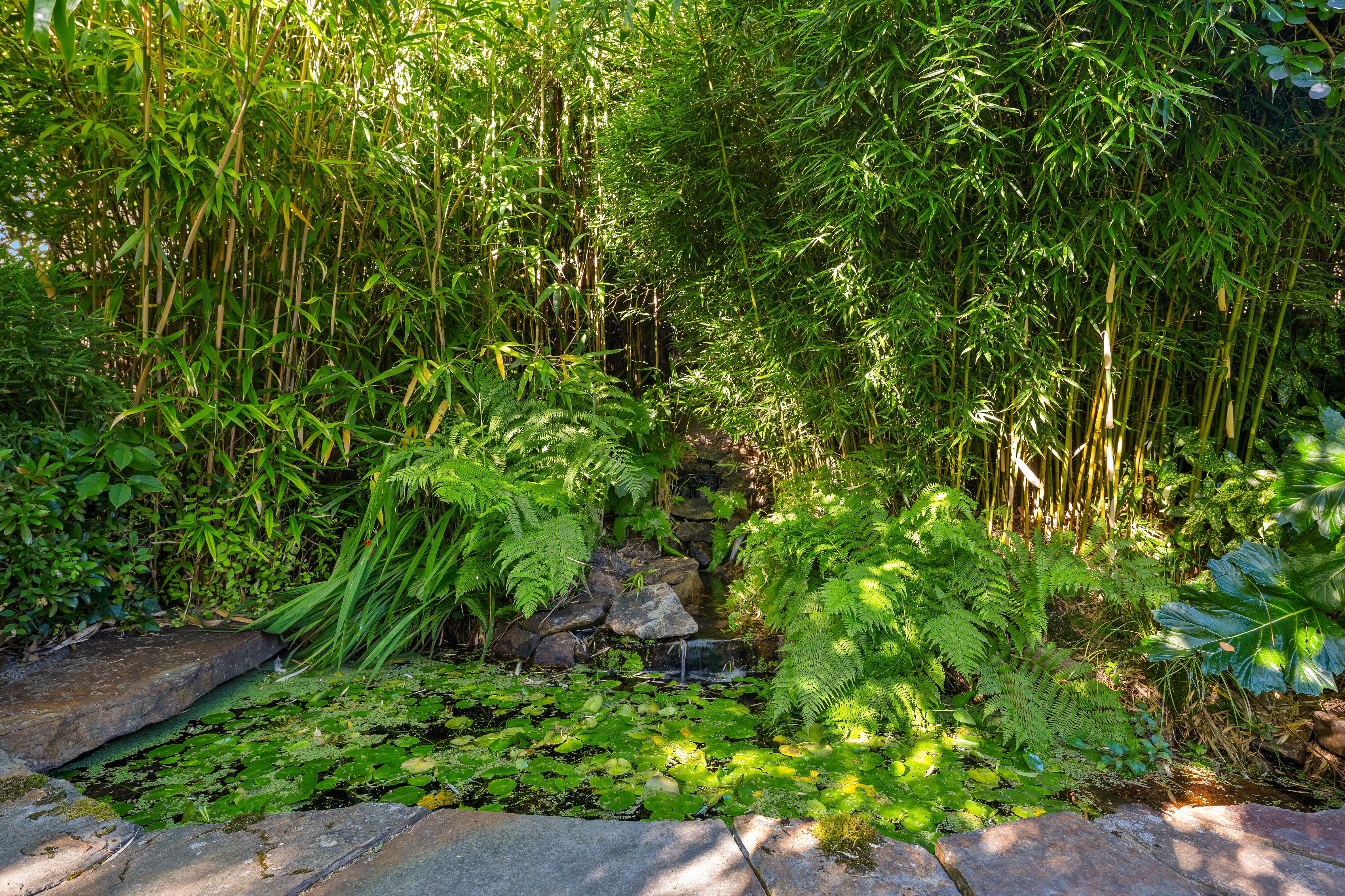  5414 SW Beach Drive Terr, Seattle, WA 98116 - 物件實景