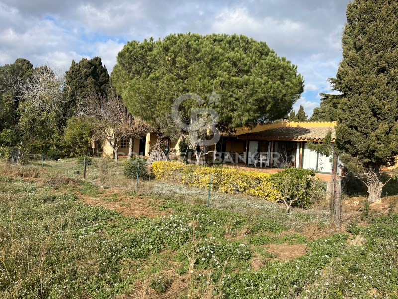 Girona, Palafrugell, Tamariu Girona, Palafrugell, Palafrugell, Catalonia, ES, 4 Bedrooms Bedrooms, ,1 BathroomBathrooms,Residential,For Sale,Girona, Palafrugell, Tamariu Girona, Palafrugell, ,1451050