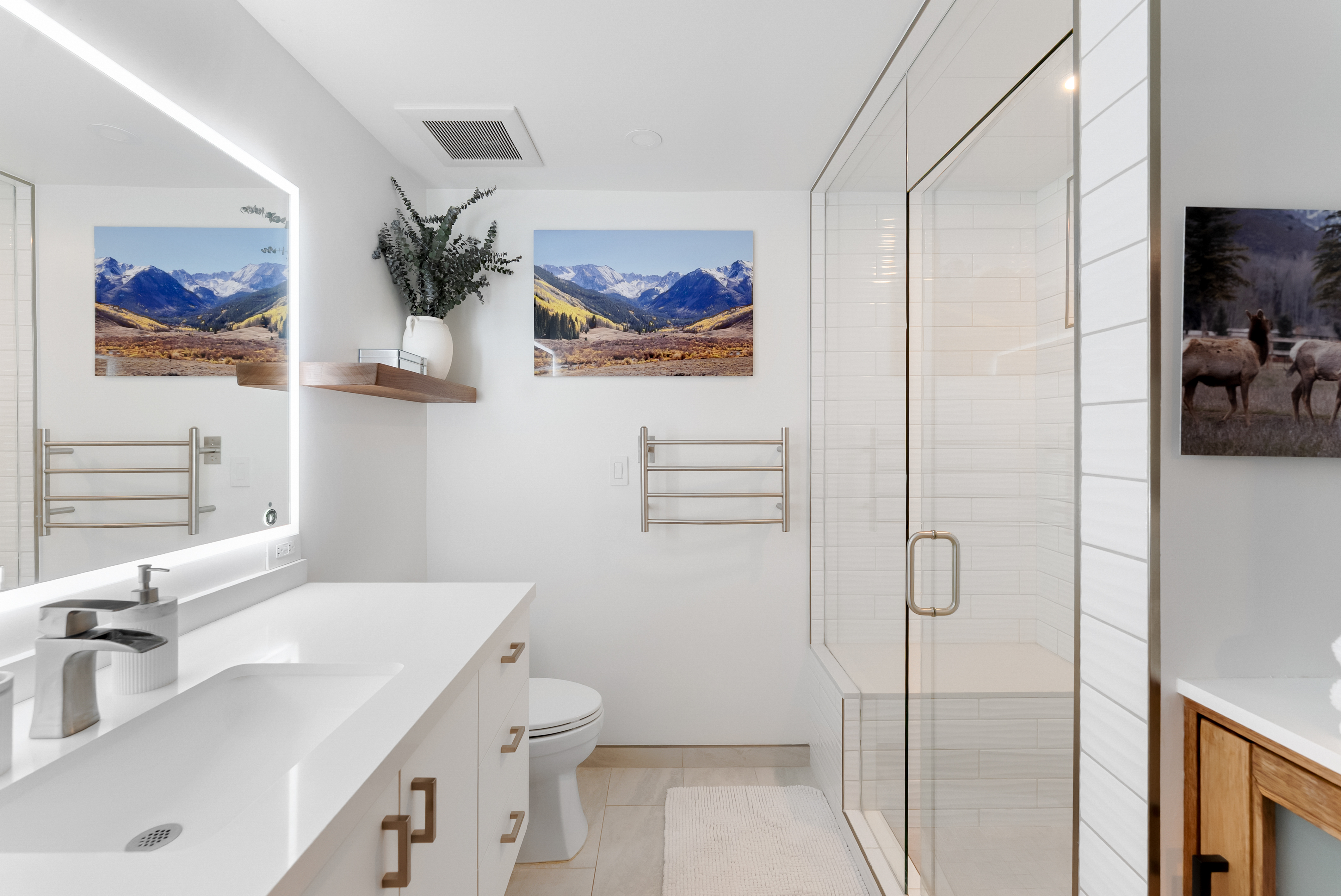  910 W Hallam Street, Aspen, CO, 81611 - 物件實景