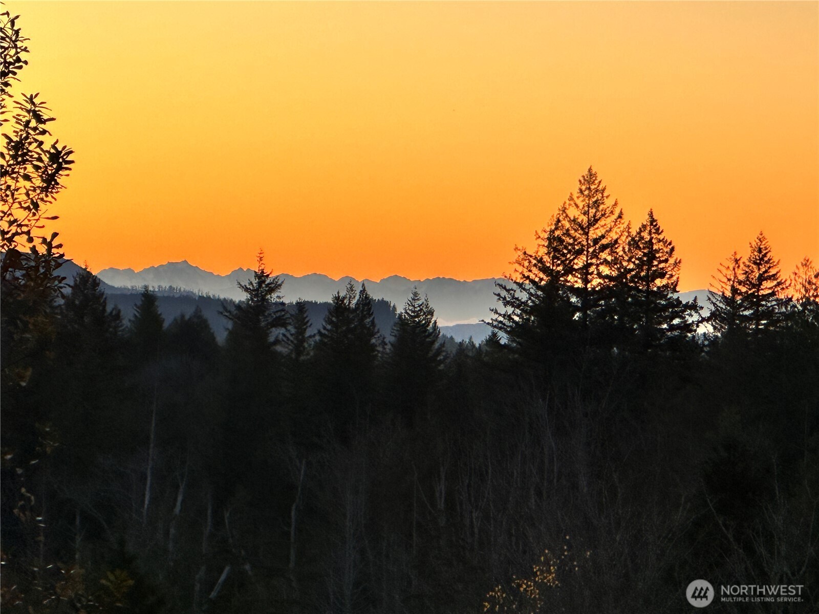 Gold Bar, Washington, 98251, United States, 4 Bedrooms Bedrooms, ,2 BathroomsBathrooms,Residential,For Sale,2032220