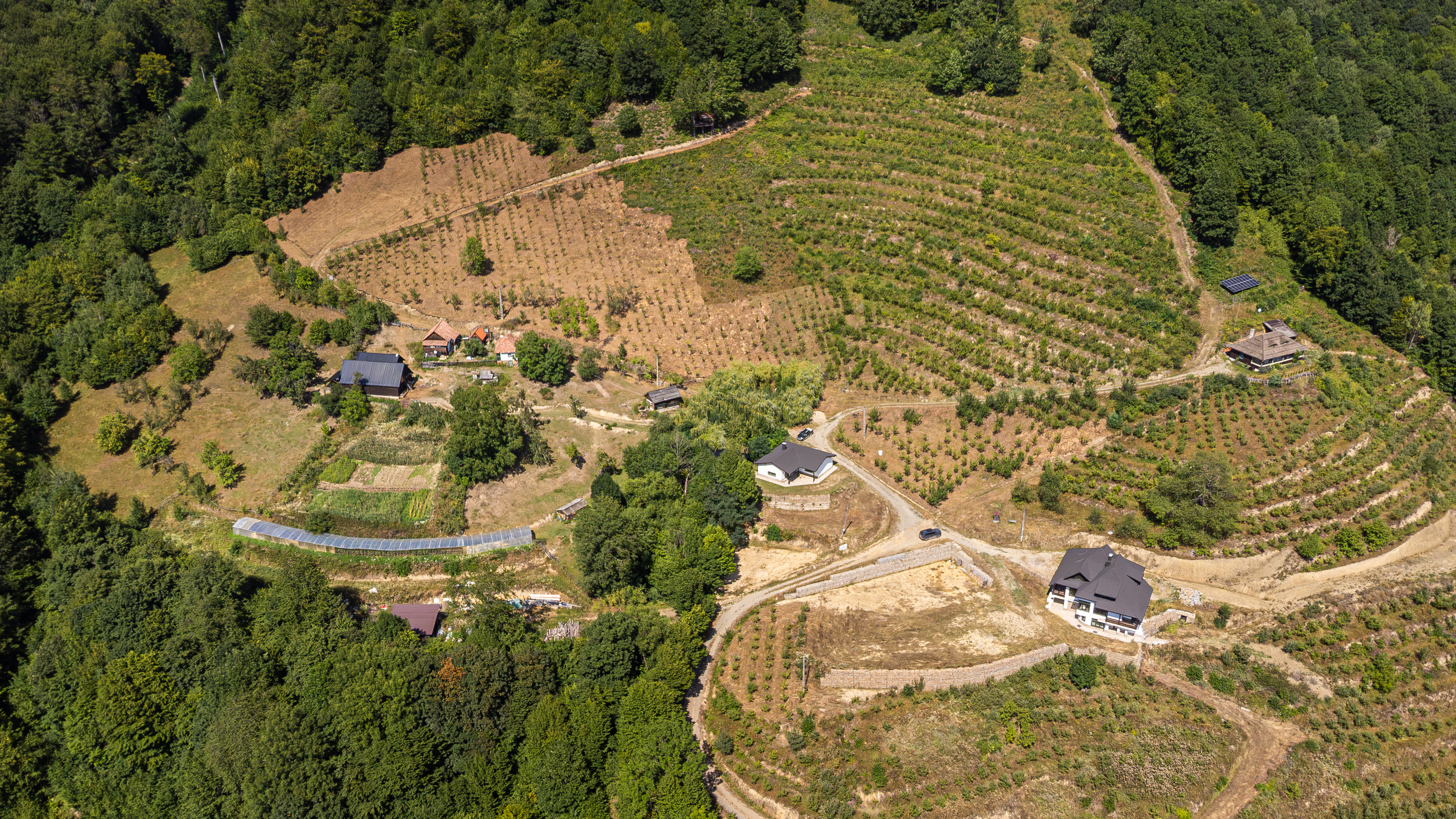  Versatile 22-Hectare Private Estate - Forested Heart of the Apuseni Mountains - 物件實景