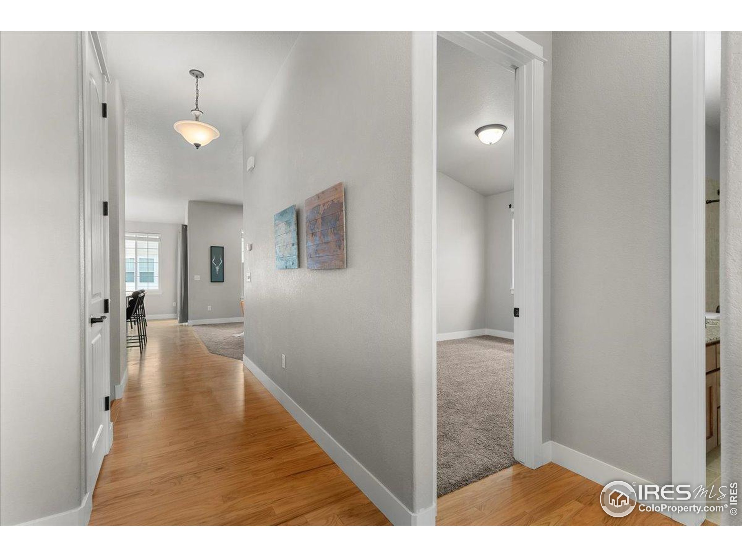 Severance, Colorado, 80550, United States, 5 Bedrooms Bedrooms, ,2 BathroomsBathrooms,Residential,For Sale,1910375