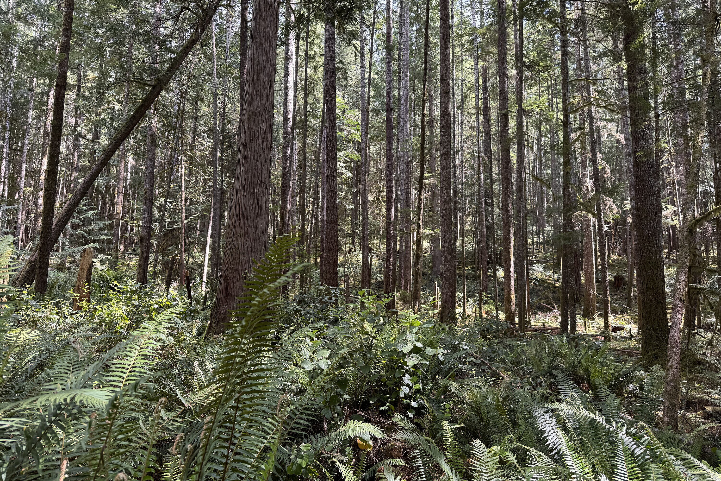  Sechelt, Sunshine Coast - 物件實景