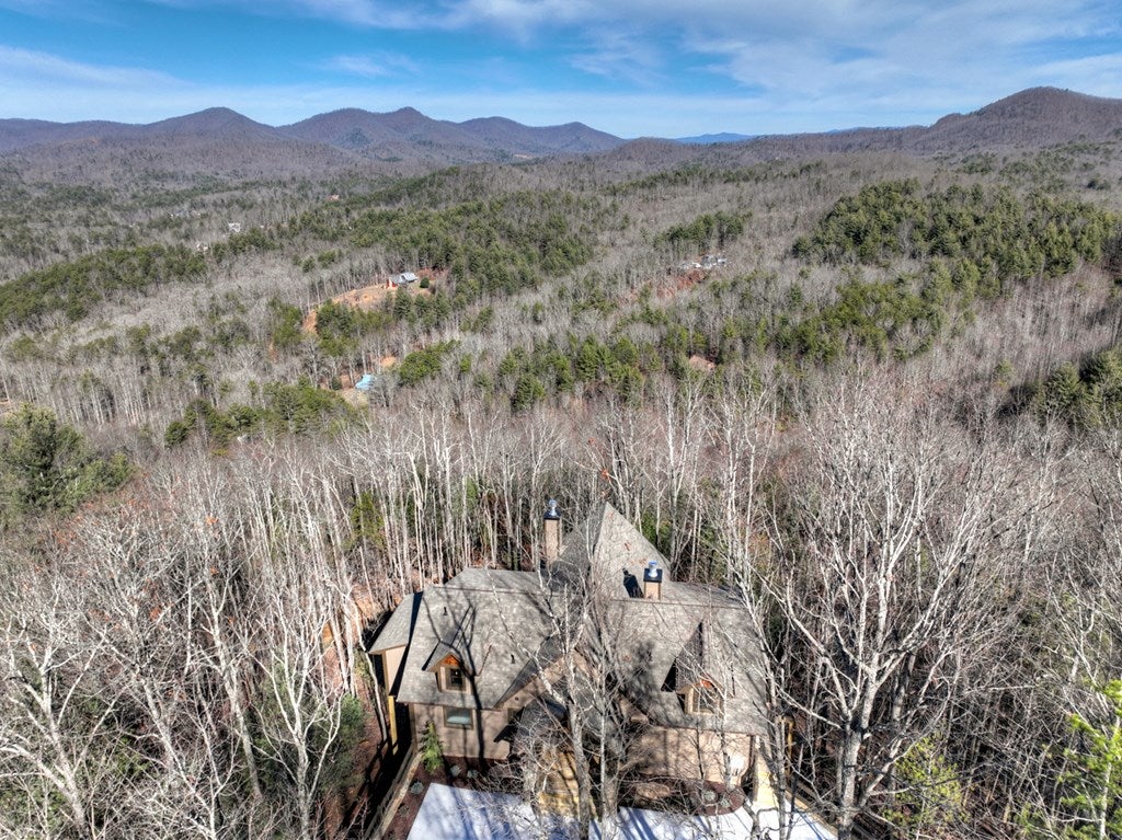 Mineral Bluff, Georgia, 30559, United States, 4 Bedrooms Bedrooms, ,4 BathroomsBathrooms,Residential,For Sale,2010498