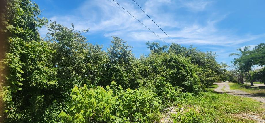 Emiliano Zapata, Morelos, 62768, Mexico, 1 Bedroom Bedrooms, ,Residential,For Sale,1926574