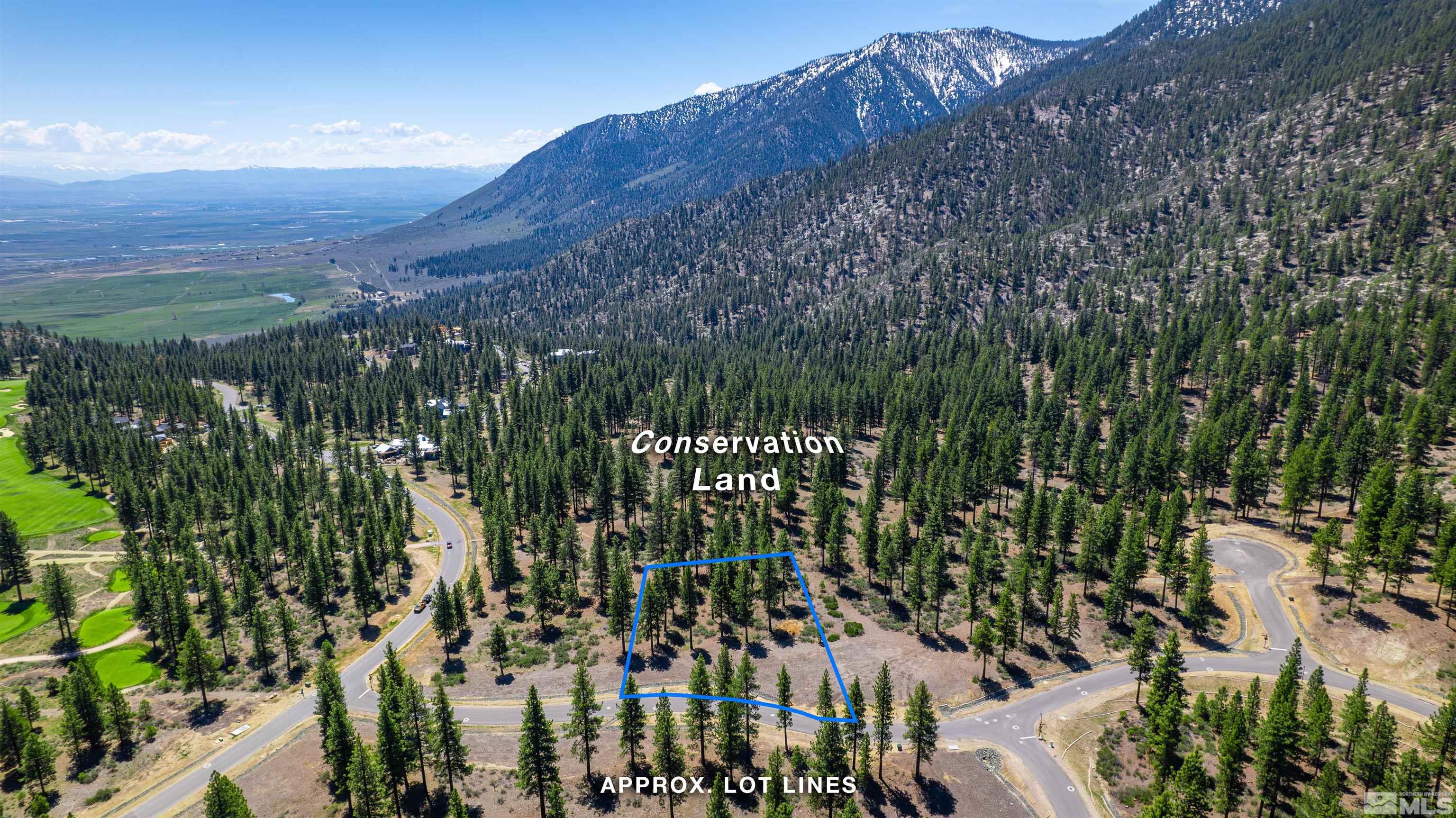 Carson City, Nevada, 89705, United States, ,Land,For Sale,1826407