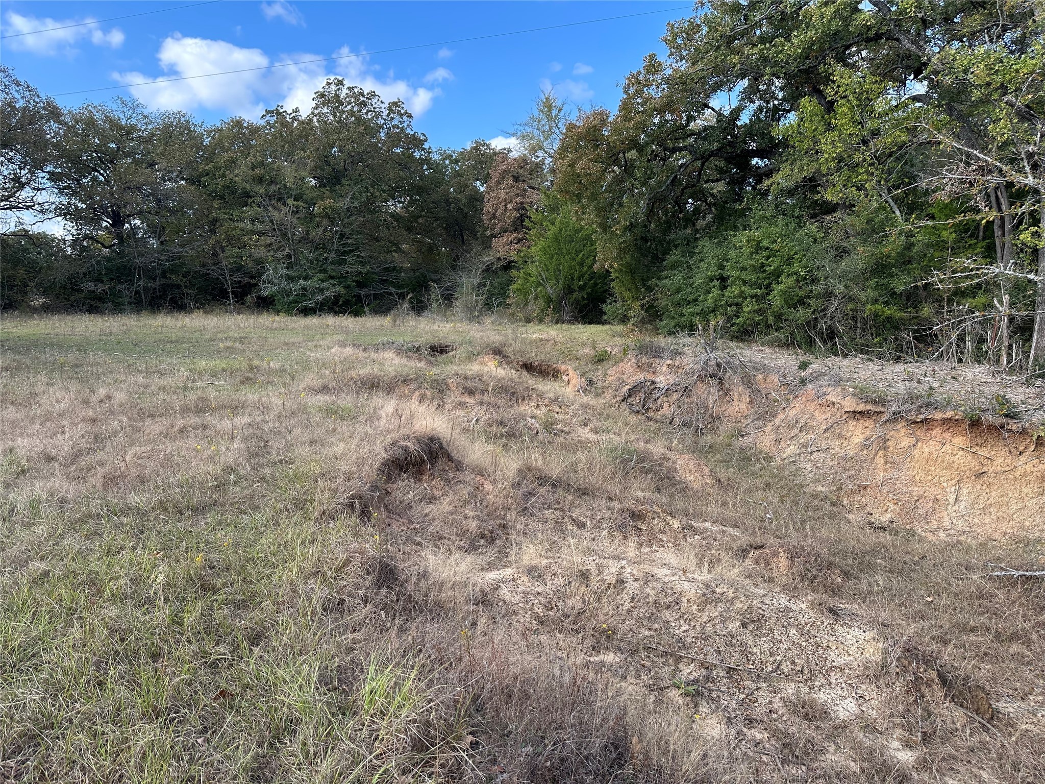 Thornton, Texas, 76687, United States, ,Land,For Sale,1995546