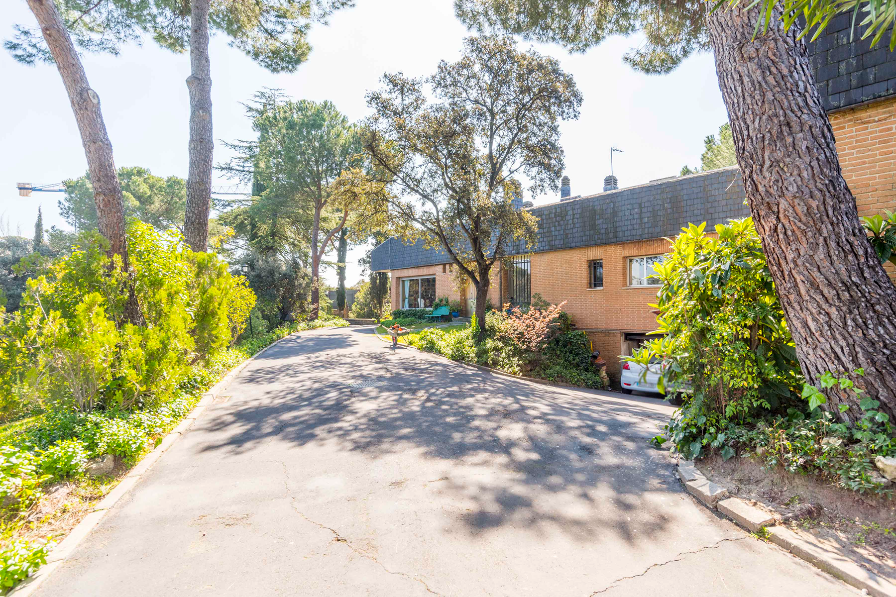  Wonderful hectare plot in La Moraleja - 物件實景