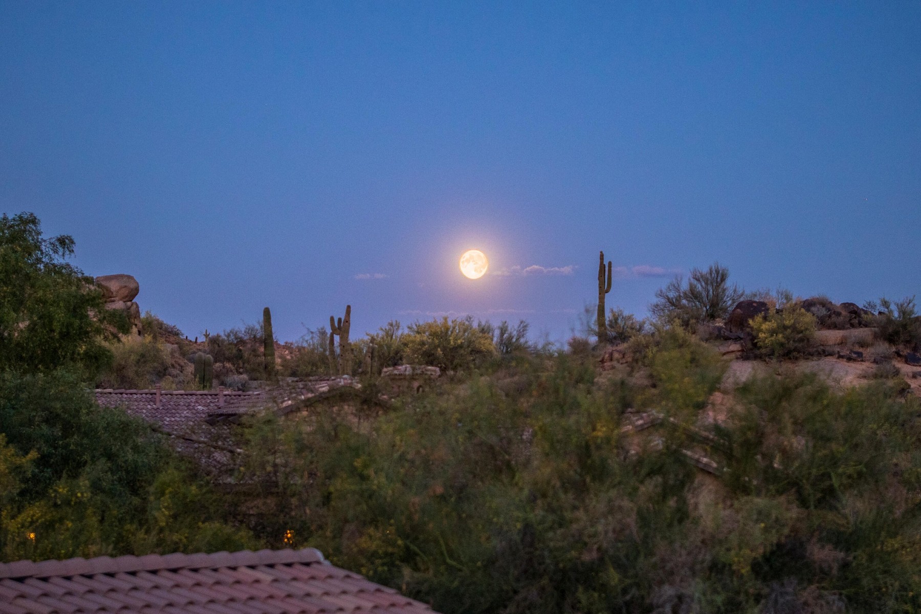  27600 N 110th Place  Scottsdale, AZ - 物件實景