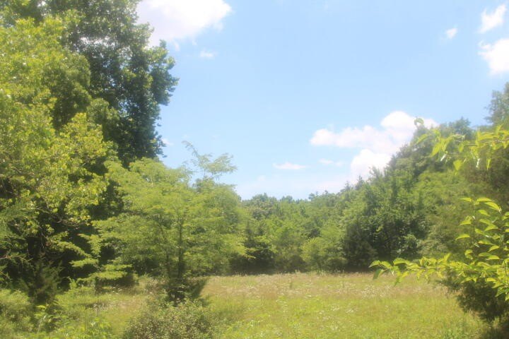 Polk, Missouri, 65727, United States, ,Land,For Sale,1980569