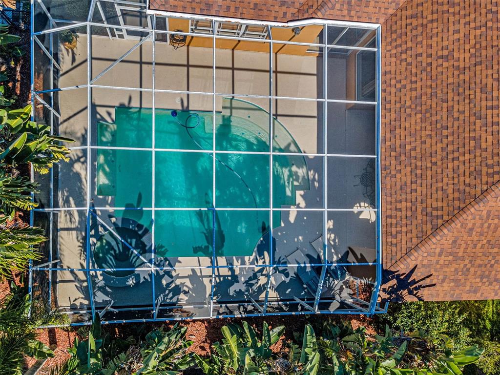 Palm Harbor, Florida, 34685, United States, 4 Bedrooms Bedrooms, ,3 BathroomsBathrooms,Residential,For Sale,1987675