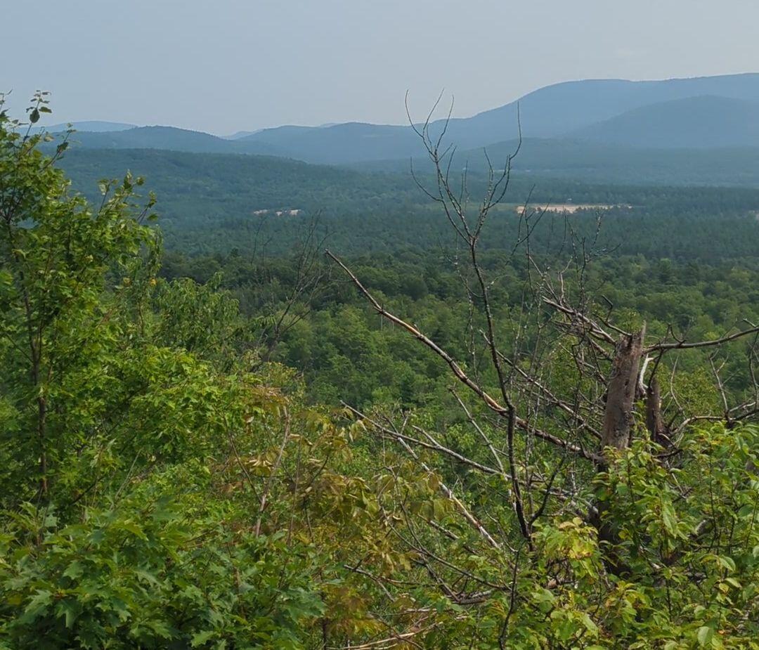 358 Buck Hill Road, Black Brook, New York, 12912, United States, ,Land,For Sale,358 Buck Hill Road,1668250