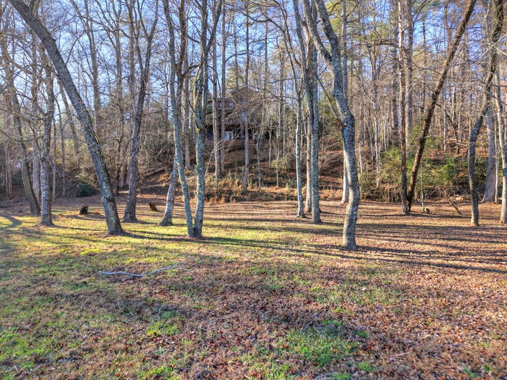 Blue Ridge, Georgia, 30513, United States, 3 Bedrooms Bedrooms, ,3 BathroomsBathrooms,Residential,For Sale,1954403