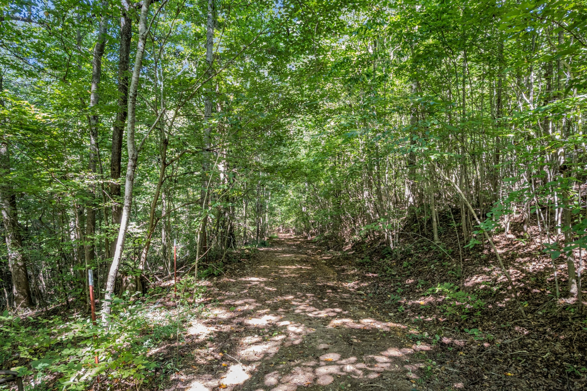 Smithville, Tennessee, 37166, United States, ,Land,For Sale,2006607