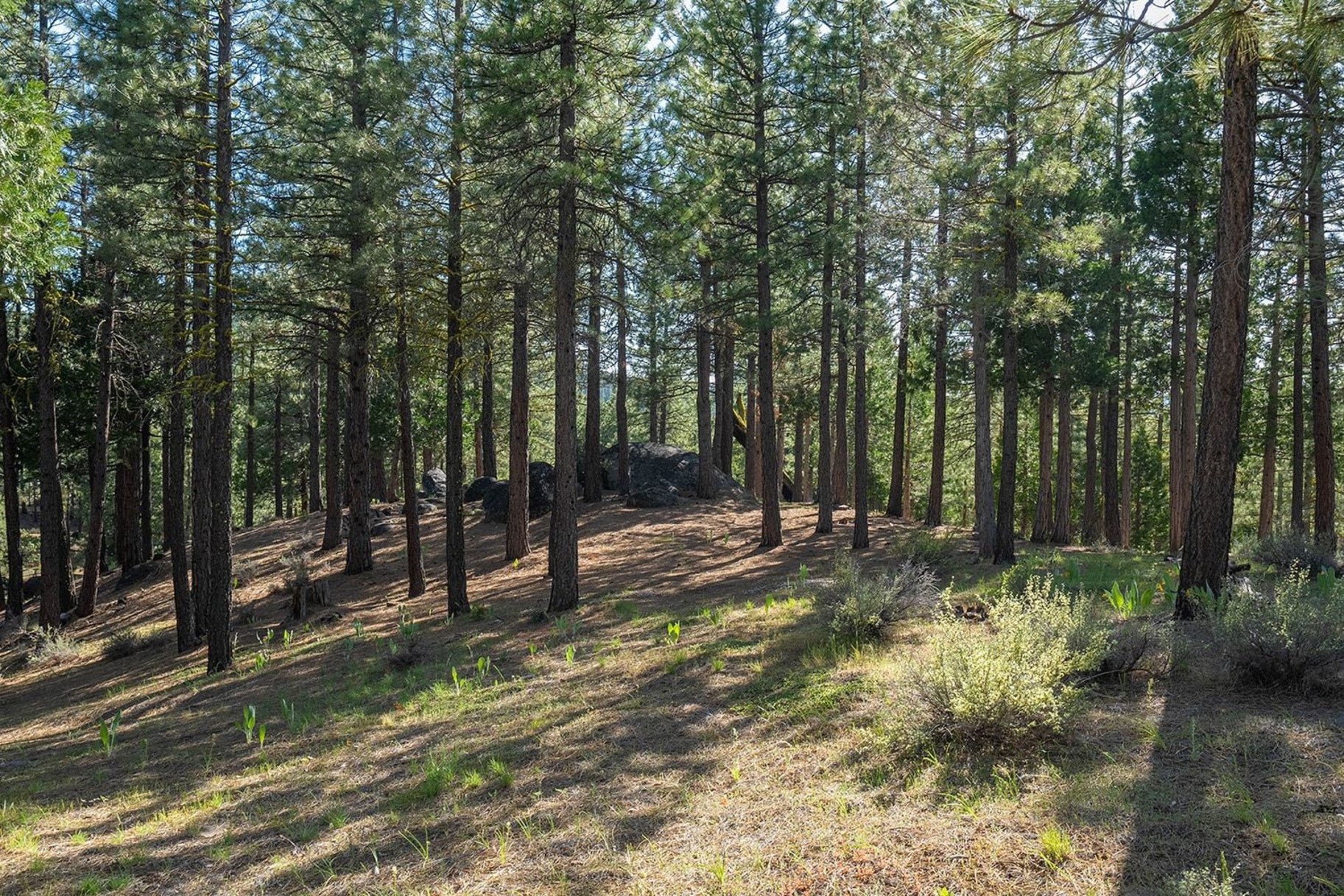  2.69 Private Acres in Nakoma with Stunning Eureka Peak Views - 物件實景