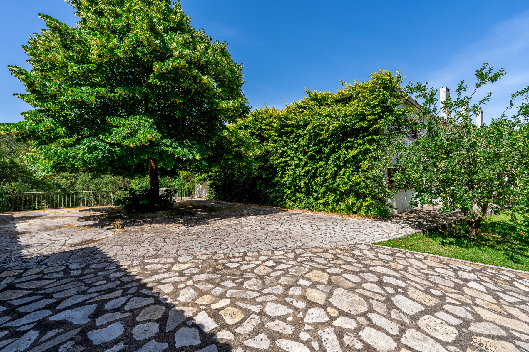  Country Estate, 15 bedrooms, for Sale - 物件實景