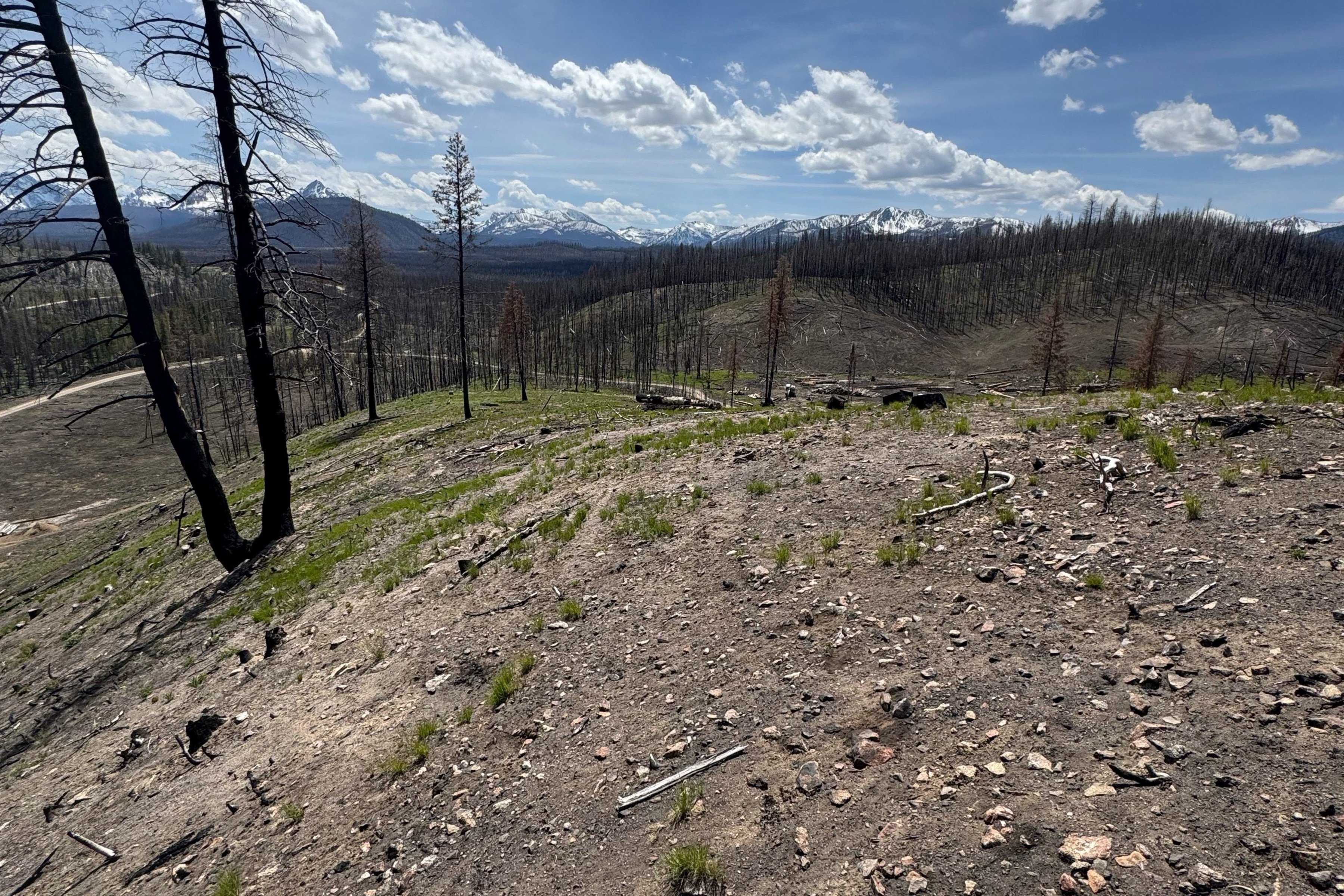  Rare Sawtooth Basin Homesite Near Stanley - 物件實景