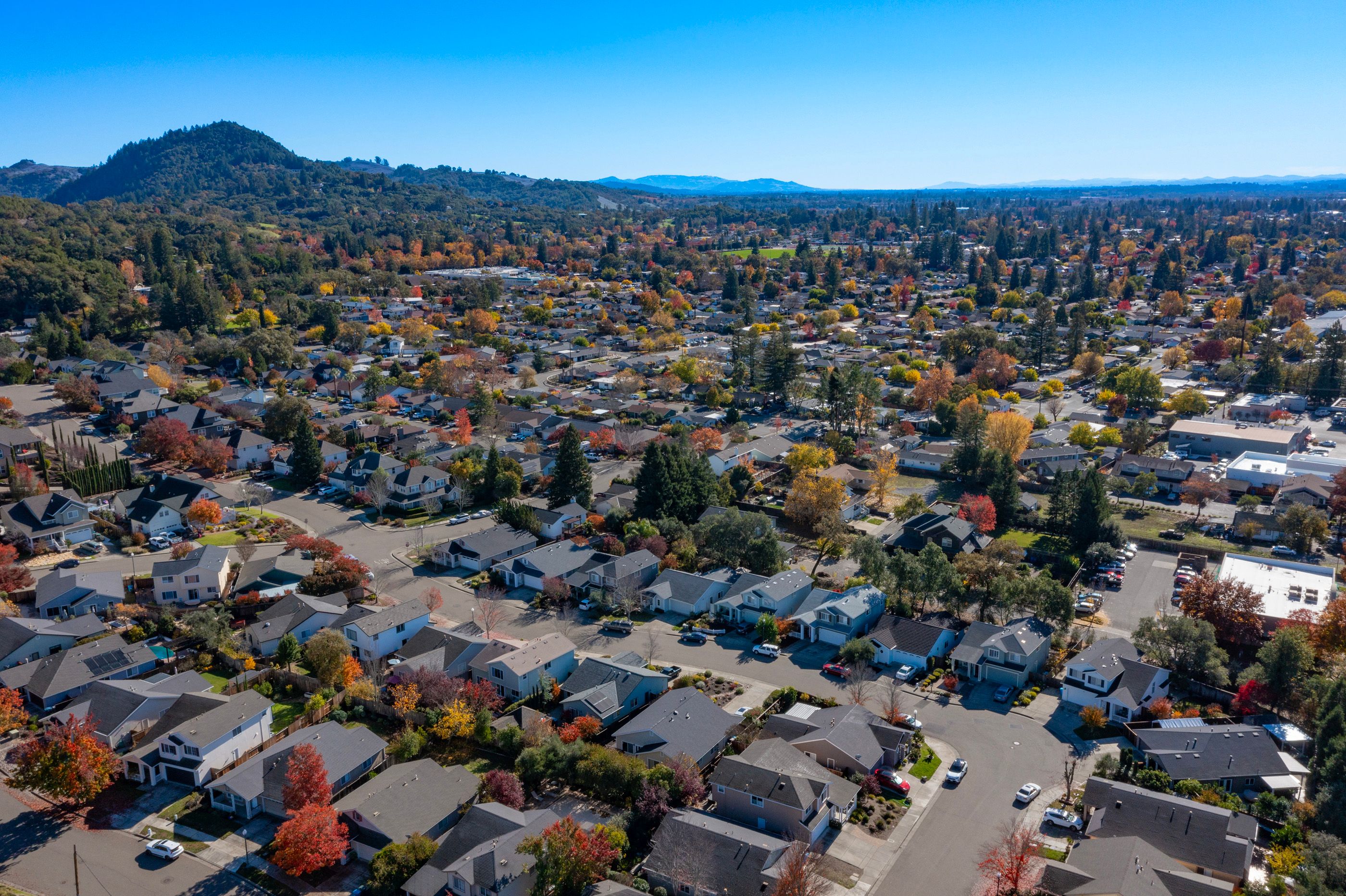  Single Level Healdsburg Gem - 物件實景