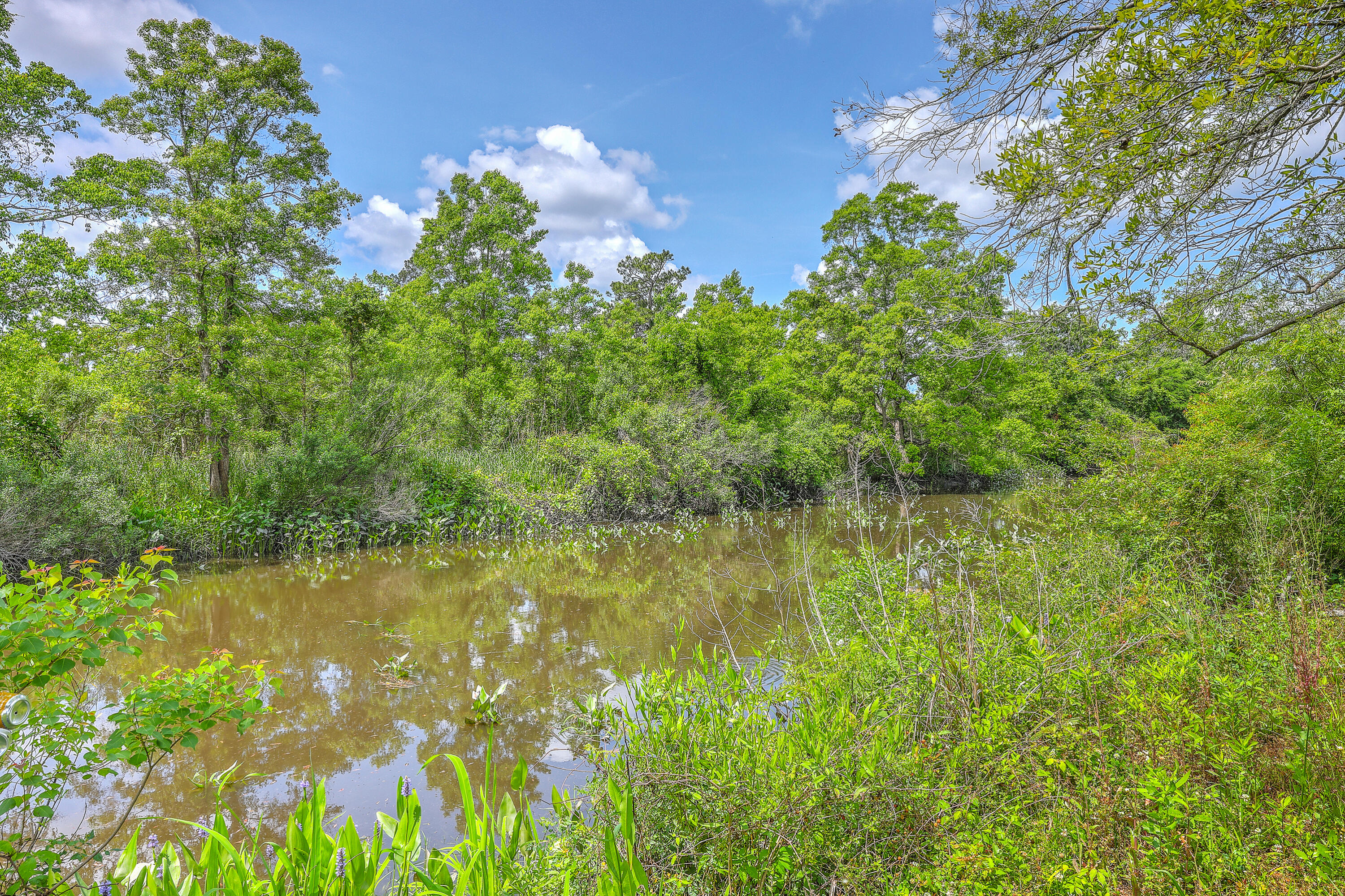 Summerville, South Carolina, 29485, United States, 5 Bedrooms Bedrooms, ,6 BathroomsBathrooms,Residential,For Sale,1977326
