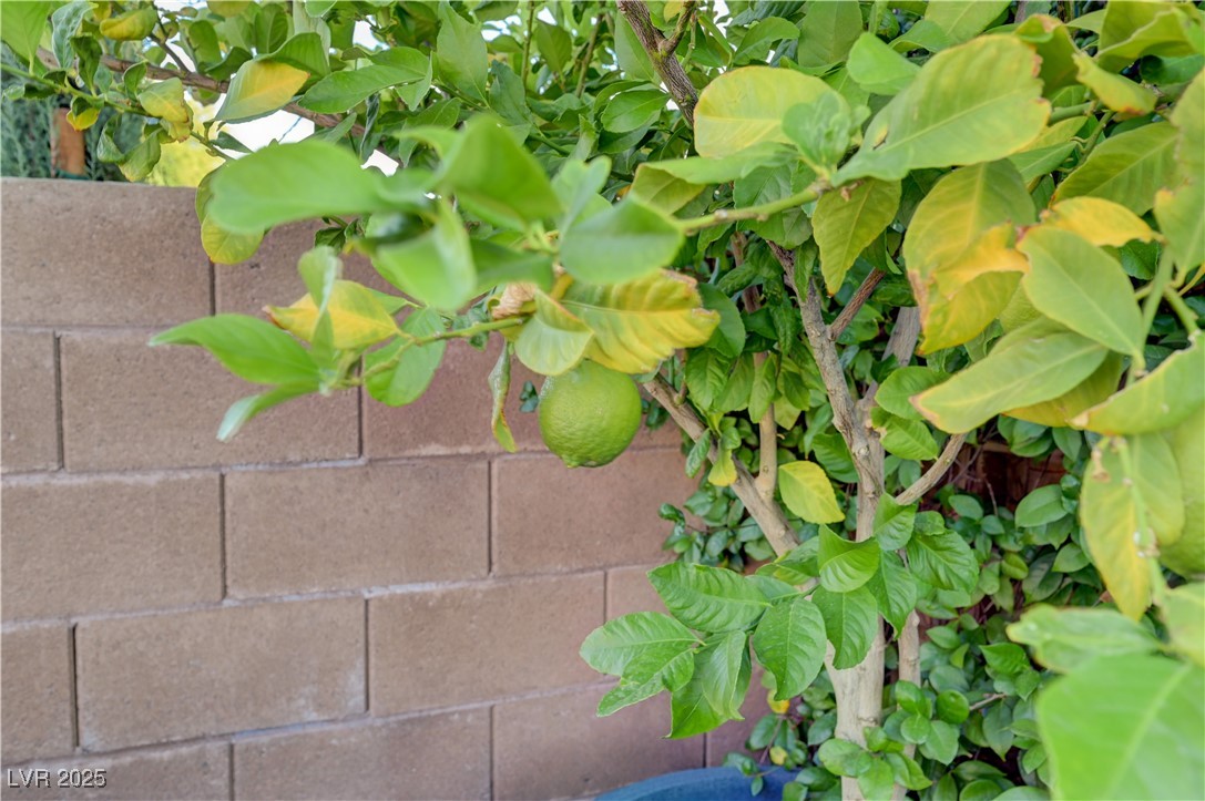 Las Vegas, Nevada, 89141, United States, 3 Bedrooms Bedrooms, ,3 BathroomsBathrooms,Residential,For Sale,1988947