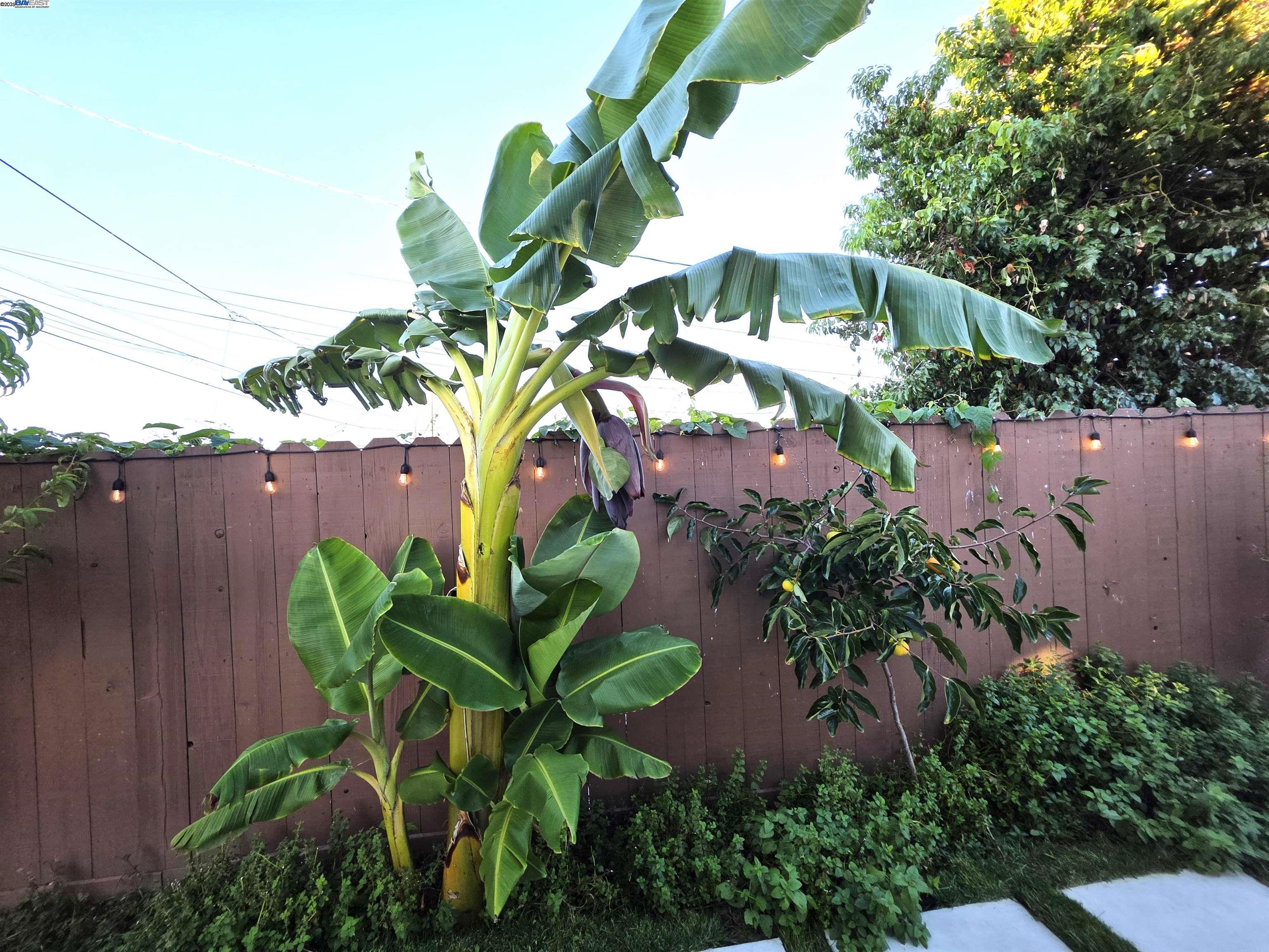 Oakland, California, 94603, United States, 3 Bedrooms Bedrooms, ,2 BathroomsBathrooms,Residential,For Sale,1991687