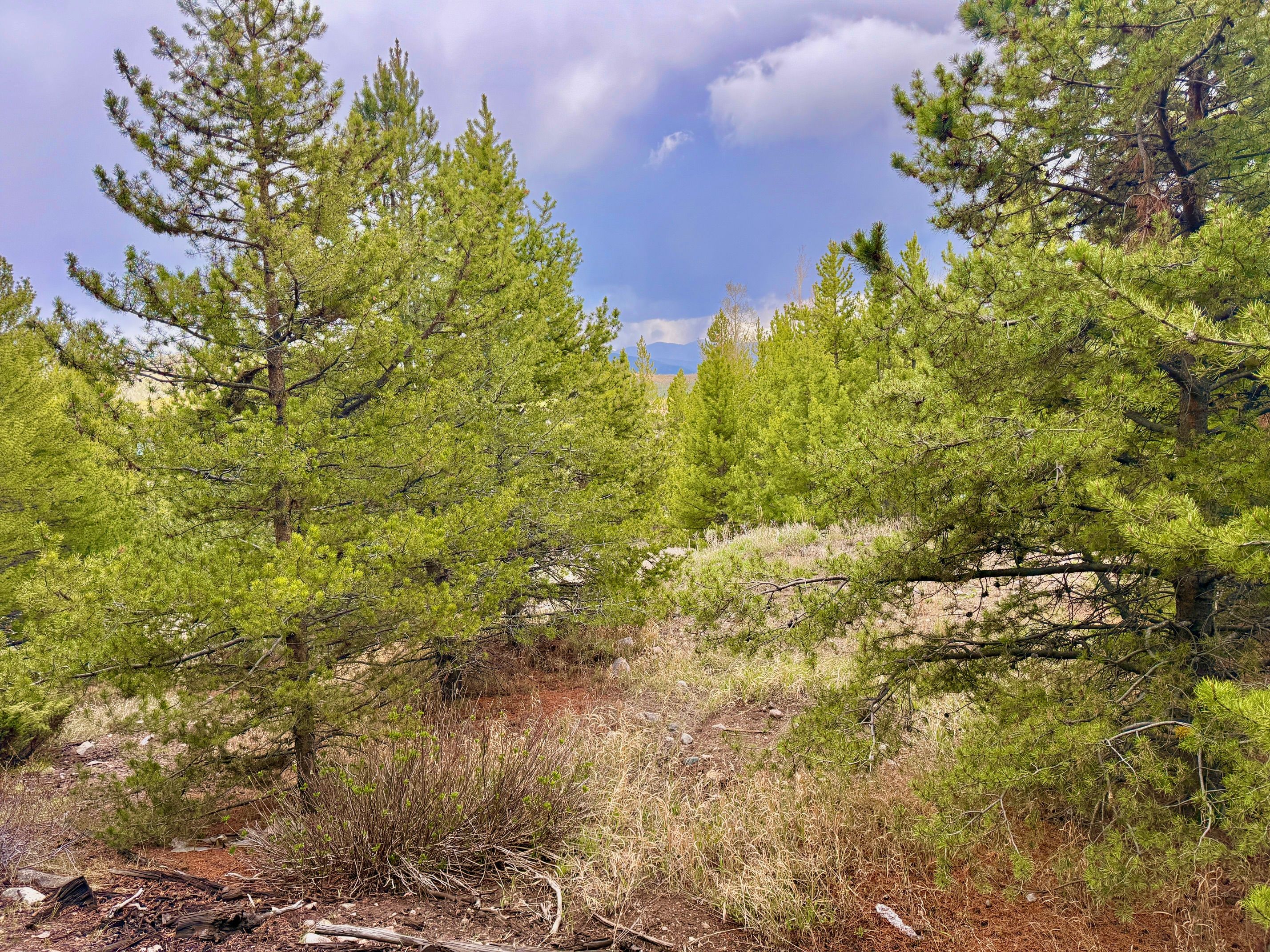  Giberson Preserve Lot 9 - 物件實景